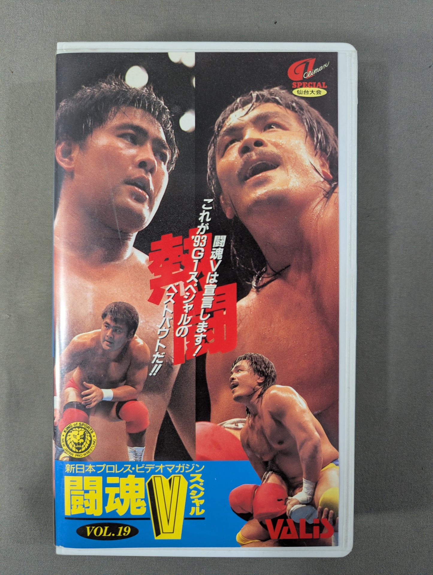 Fighting Spirit V Special Vol.19
