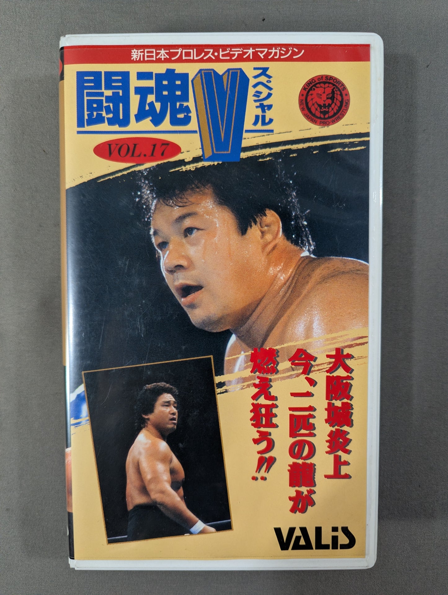 Fighting Spirit V Special Vol.17