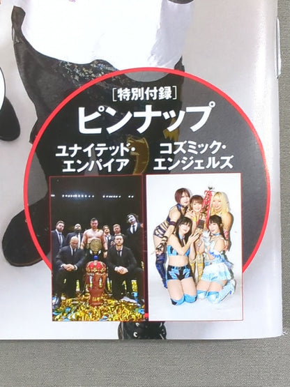 週刊プロレス2407