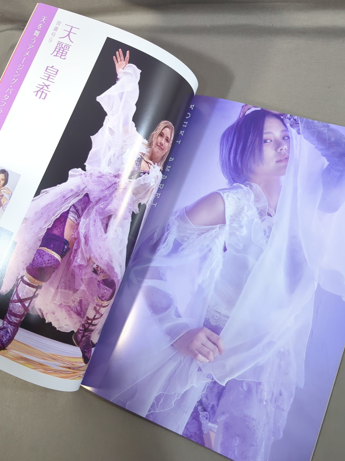 MARIGOLD GUIDE BOOK Vol.3