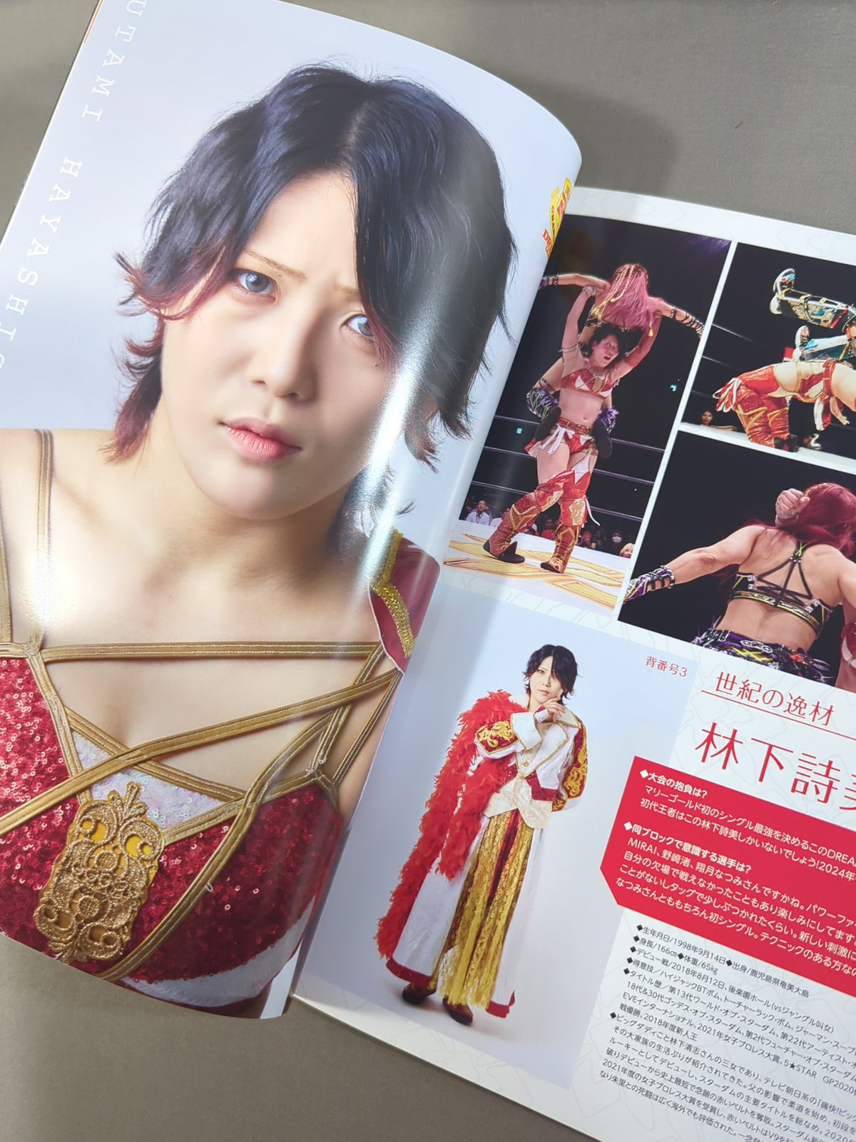 マリーゴールド / MARIGOLD GUIDE BOOK Vol.4 ～DREAM☆STAR GP2024 記念～