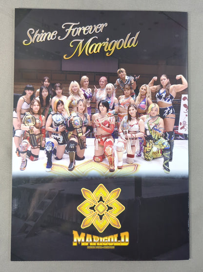 Marigold / MARIGOLD GUIDE BOOK Vol.5 ~FANTASTIC ADVENTURE~