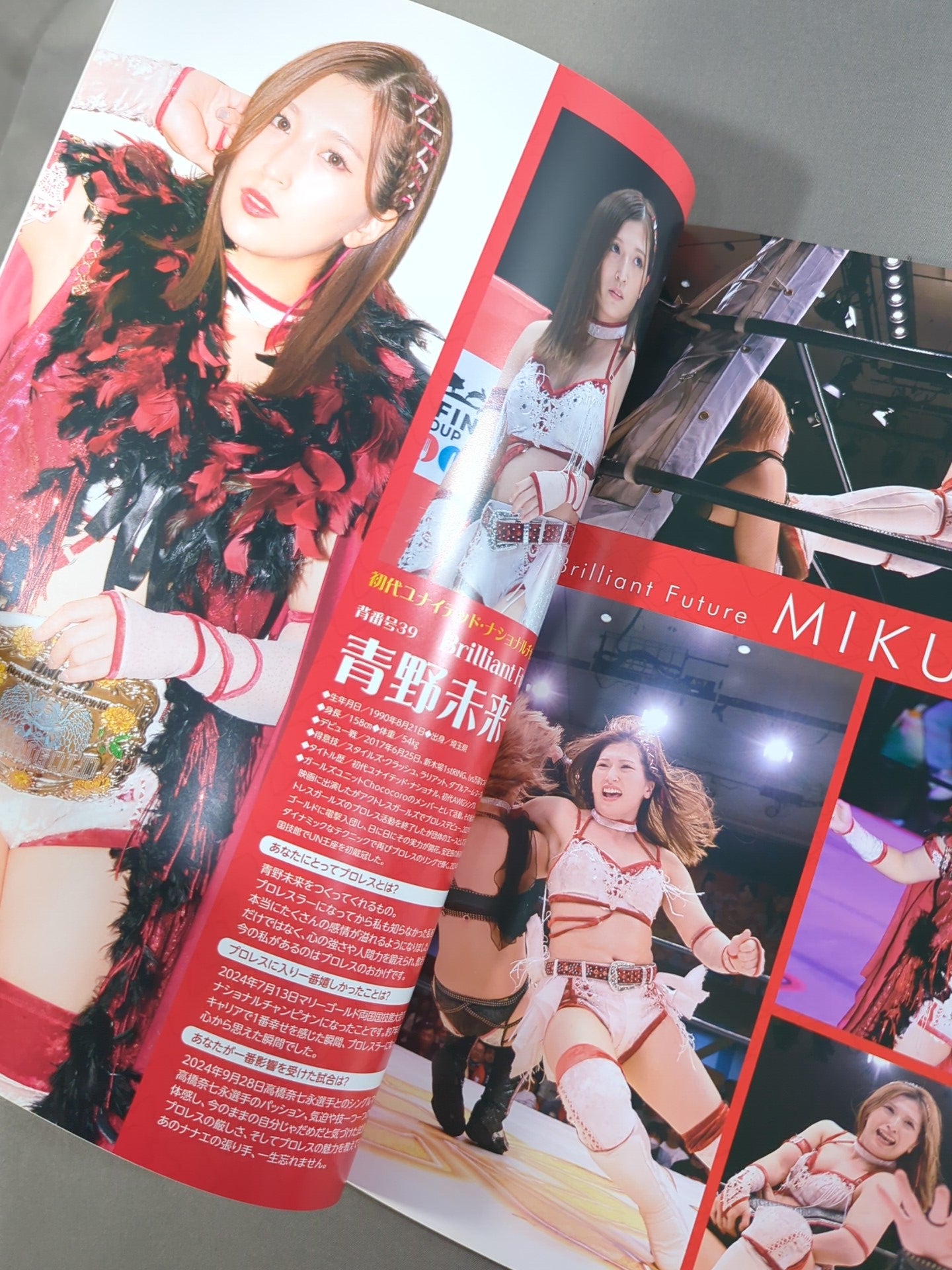 マリーゴールド / MARIGOLD GUIDE BOOK Vol.6 ～Winter Wonderful Fight 2024～