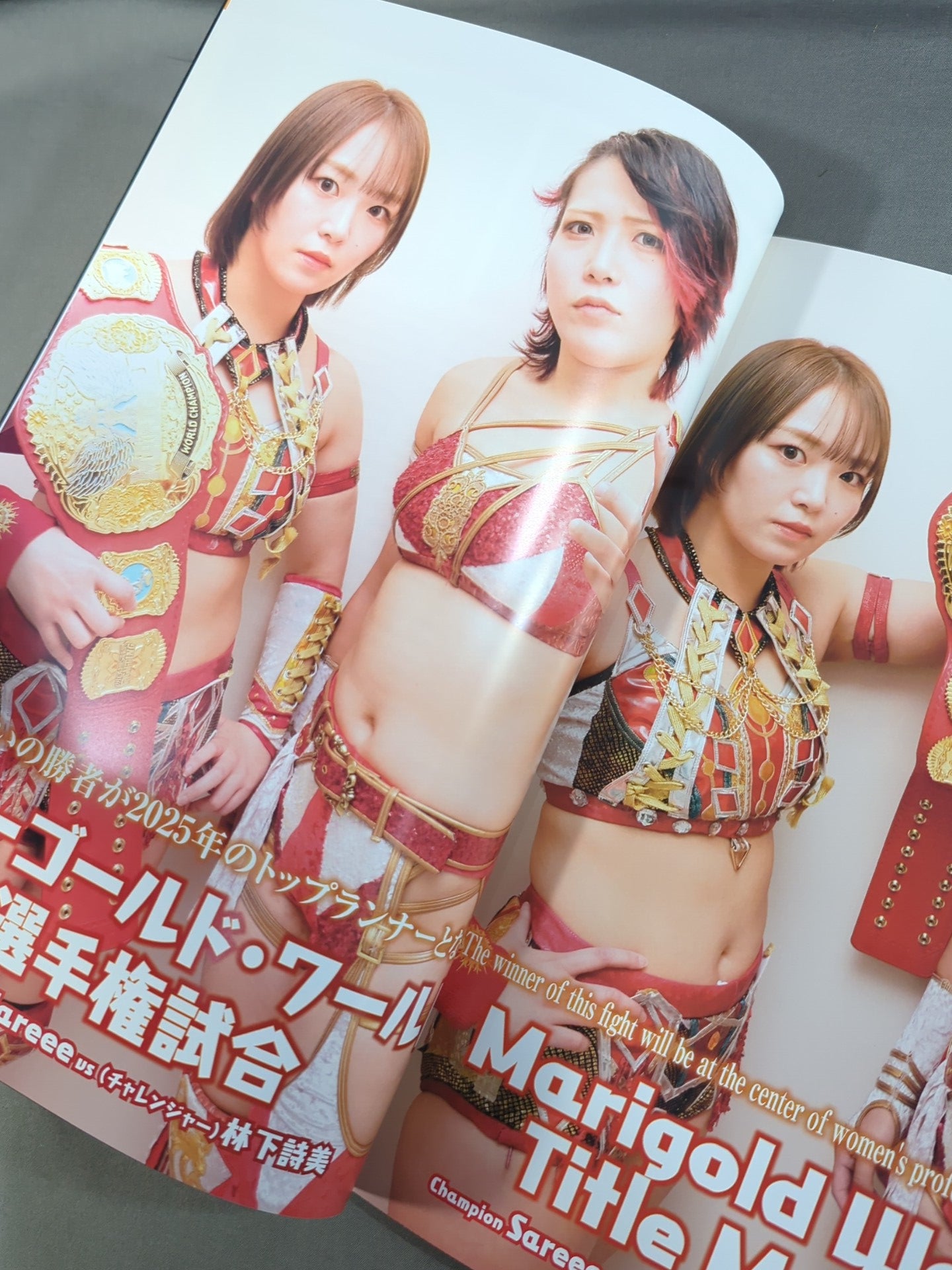 マリーゴールド / MARIGOLD GUIDE BOOK Vol.7 ～初夢 First Dream 2025～