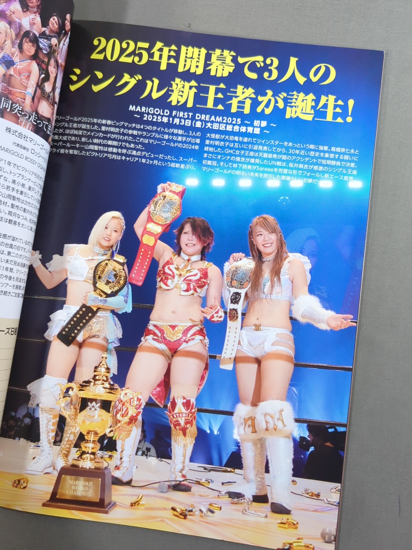 マリーゴールド / MARIGOLD GUIDE BOOK Vol.8 NEW YEAR'S GOLDEN GARDEN