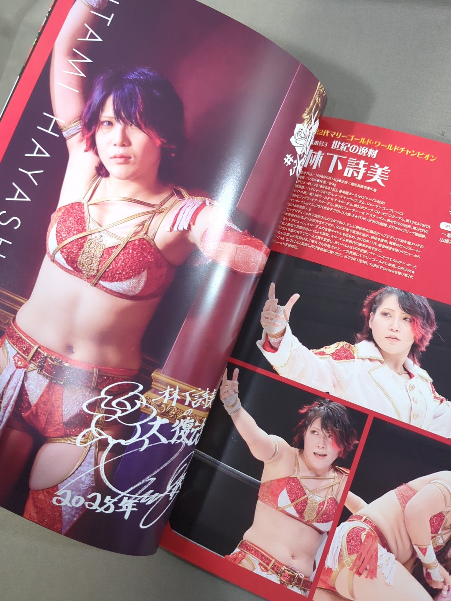 マリーゴールド / MARIGOLD GUIDE BOOK Vol.8 NEW YEAR'S GOLDEN GARDEN