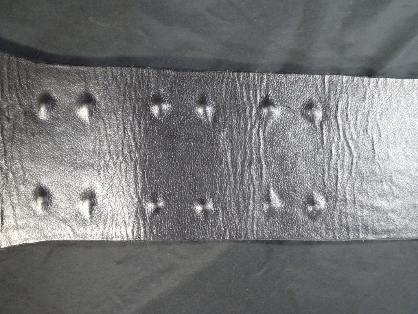 ★飛龍から猛虎へ★ WWFジュニアヘビー級王座チャンピオンベルト