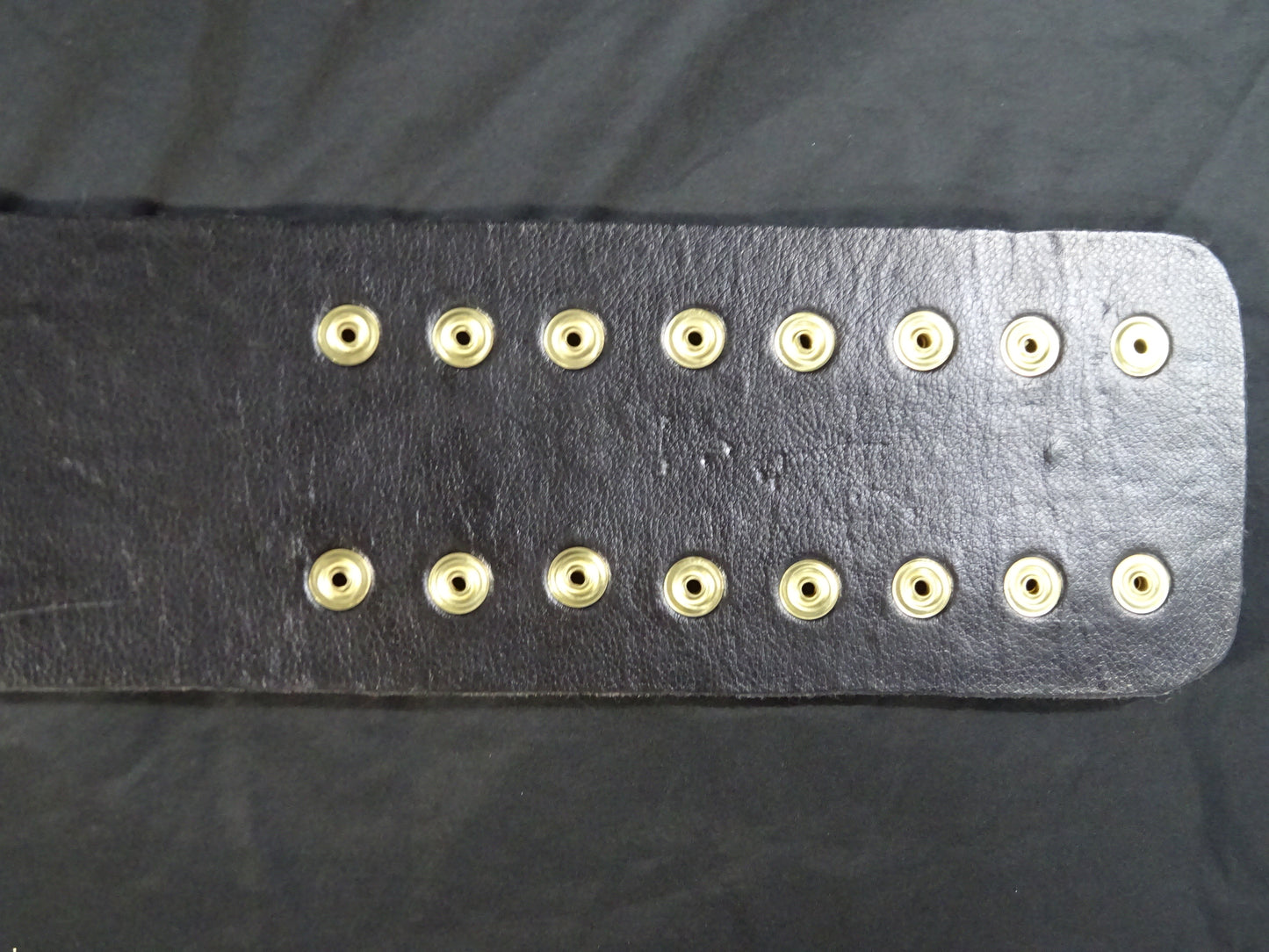 ★飛龍から猛虎へ★ WWFジュニアヘビー級王座チャンピオンベルト