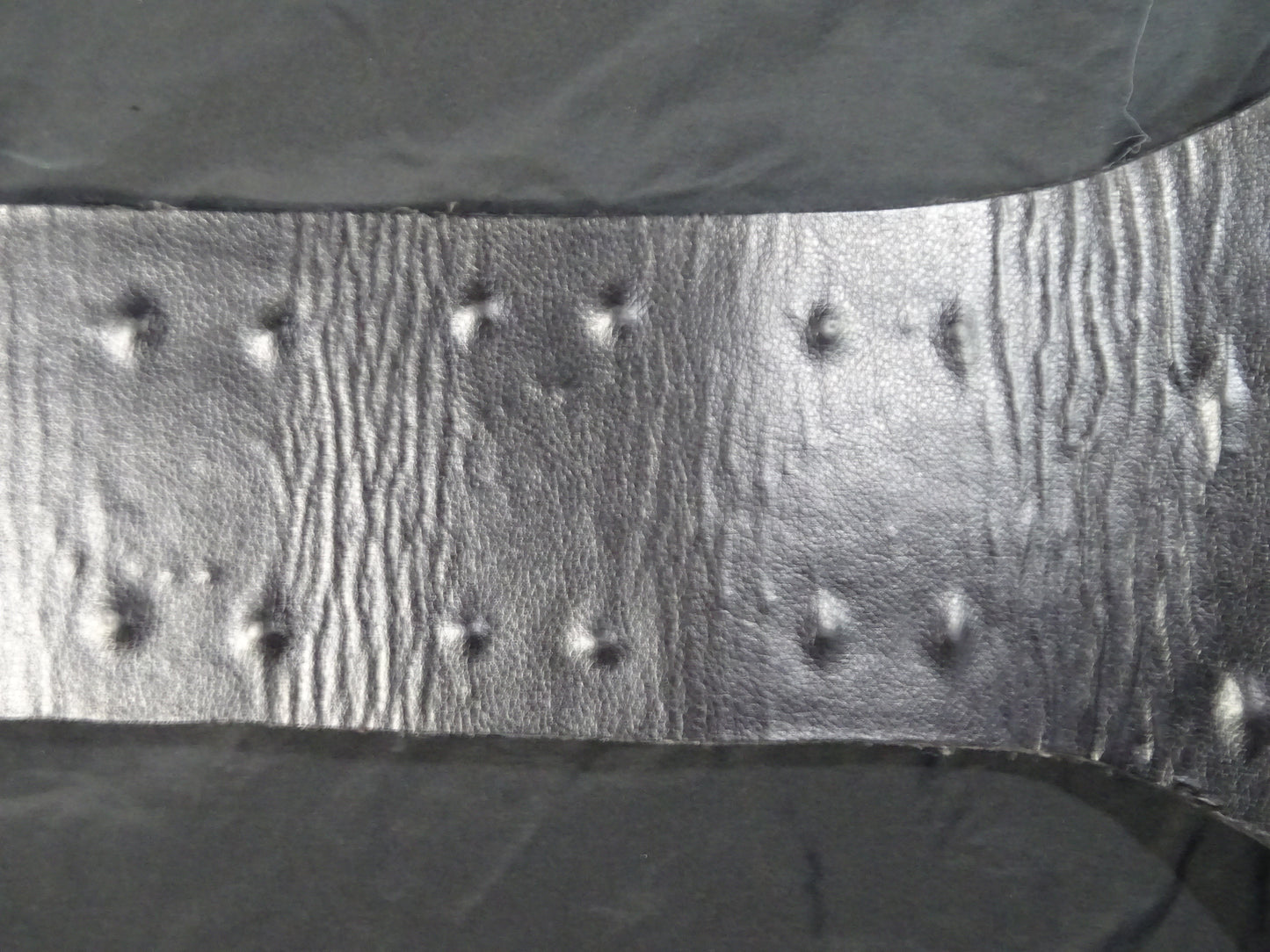 ★飛龍から猛虎へ★ WWFジュニアヘビー級王座チャンピオンベルト