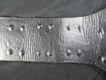 ★飛龍から猛虎へ★ WWFジュニアヘビー級王座チャンピオンベルト