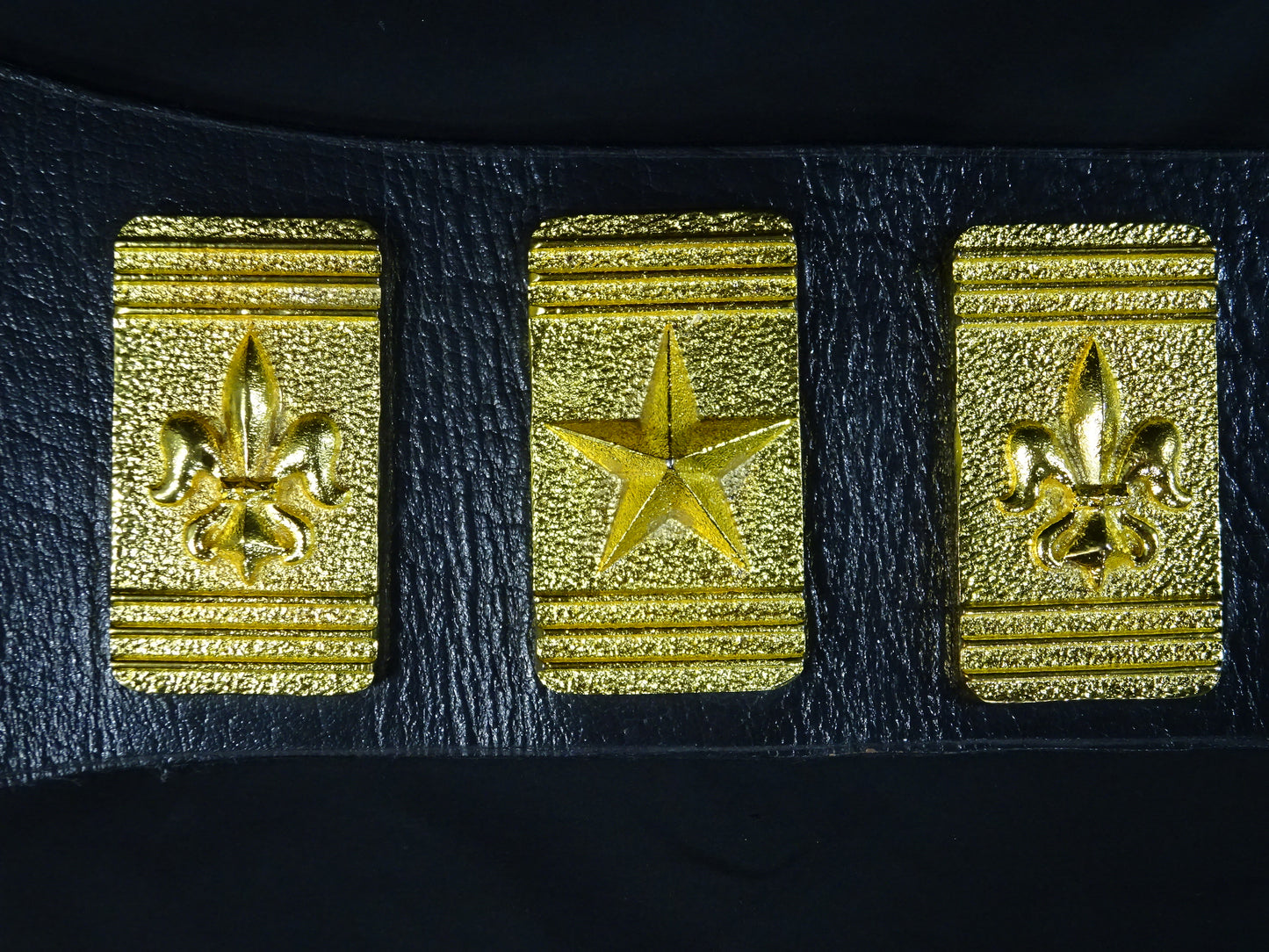 ★飛龍から猛虎へ★ WWFジュニアヘビー級王座チャンピオンベルト