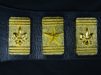 ★飛龍から猛虎へ★ WWFジュニアヘビー級王座チャンピオンベルト