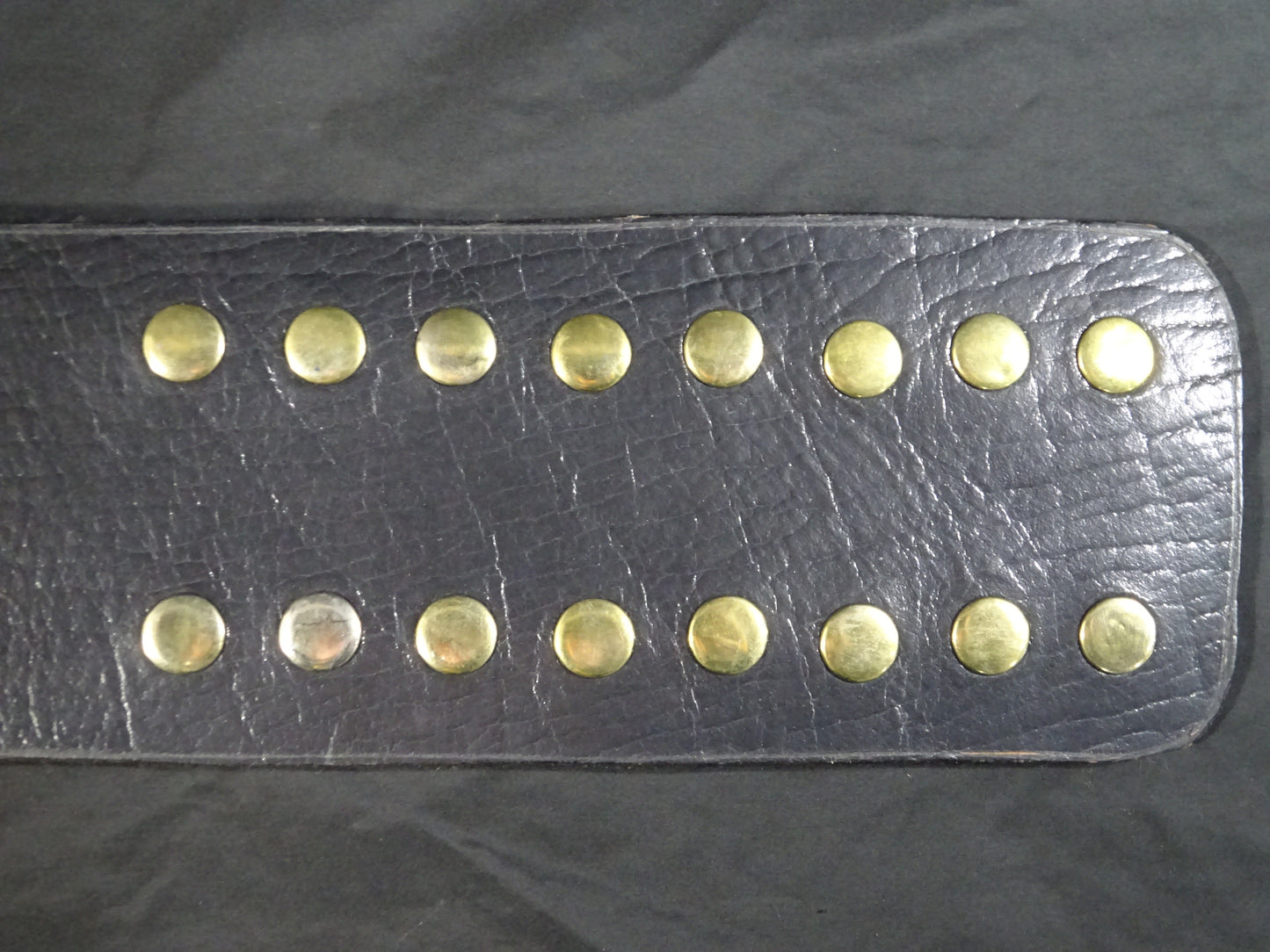 ★飛龍から猛虎へ★ WWFジュニアヘビー級王座チャンピオンベルト