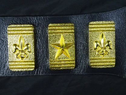 ★飛龍から猛虎へ★ WWFジュニアヘビー級王座チャンピオンベルト