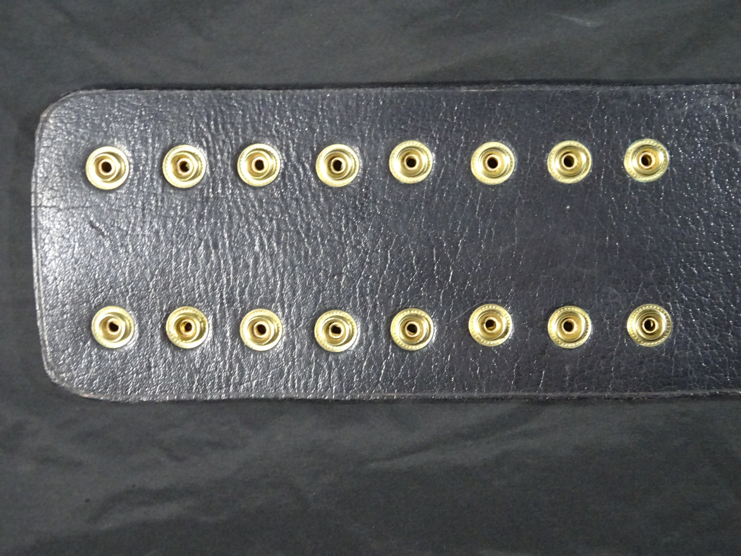 ★飛龍から猛虎へ★ WWFジュニアヘビー級王座チャンピオンベルト