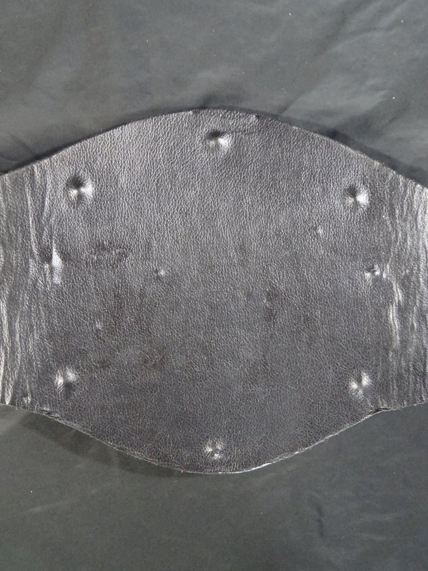 ★飛龍から猛虎へ★ WWFジュニアヘビー級王座チャンピオンベルト