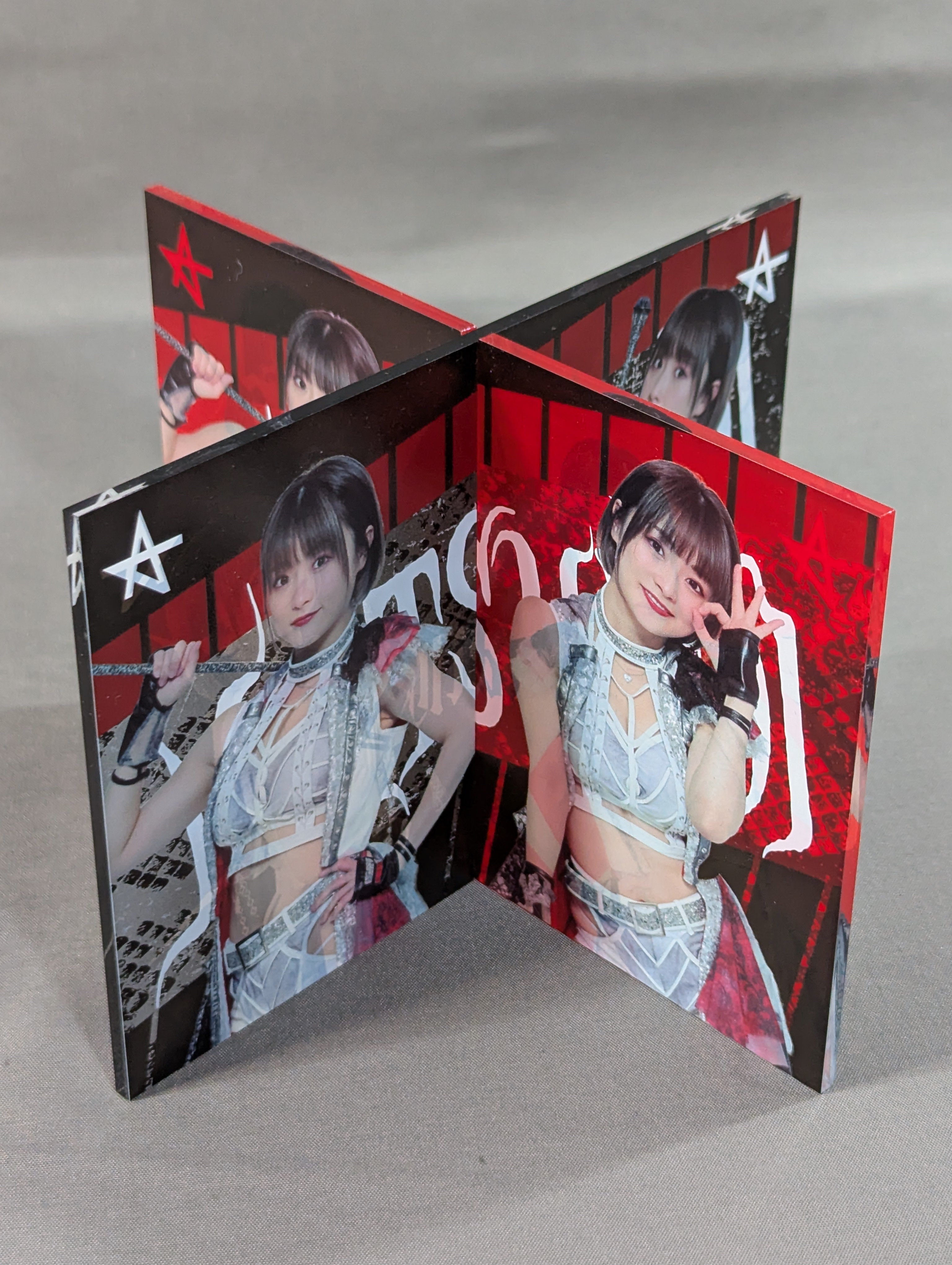なつぽい スターダム アクリルクロススタンド – 闘道館