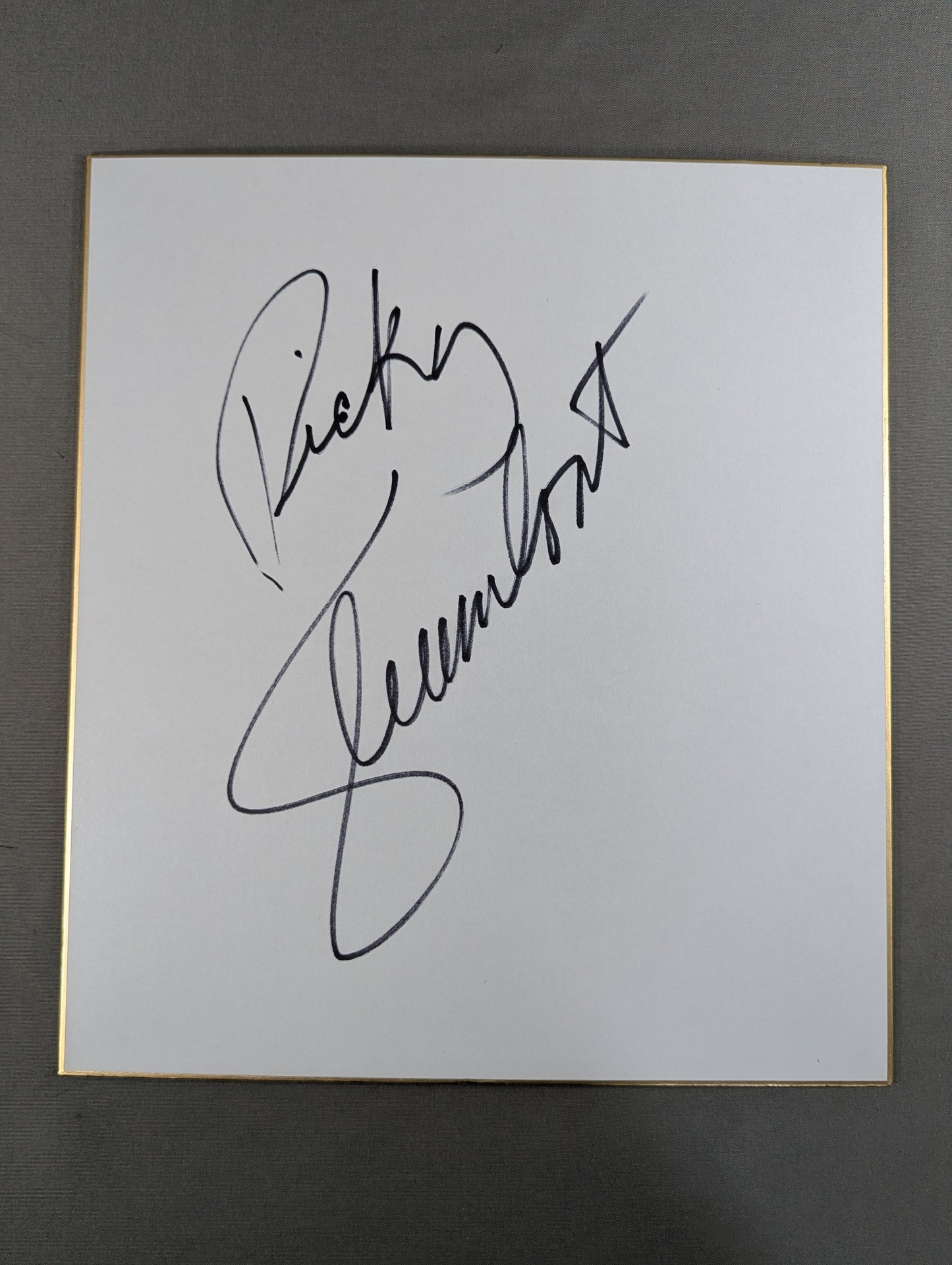 リッキー・スティムボート