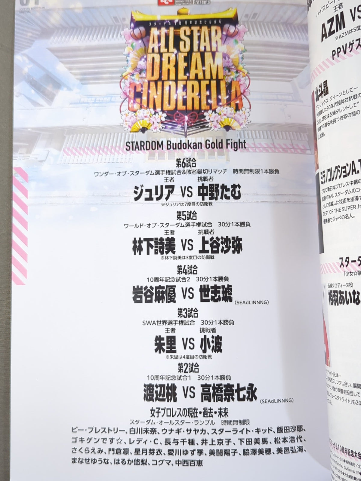 スターダム10周年記念～ひな祭り ALLSTAR DREAM CINDERELLA～
