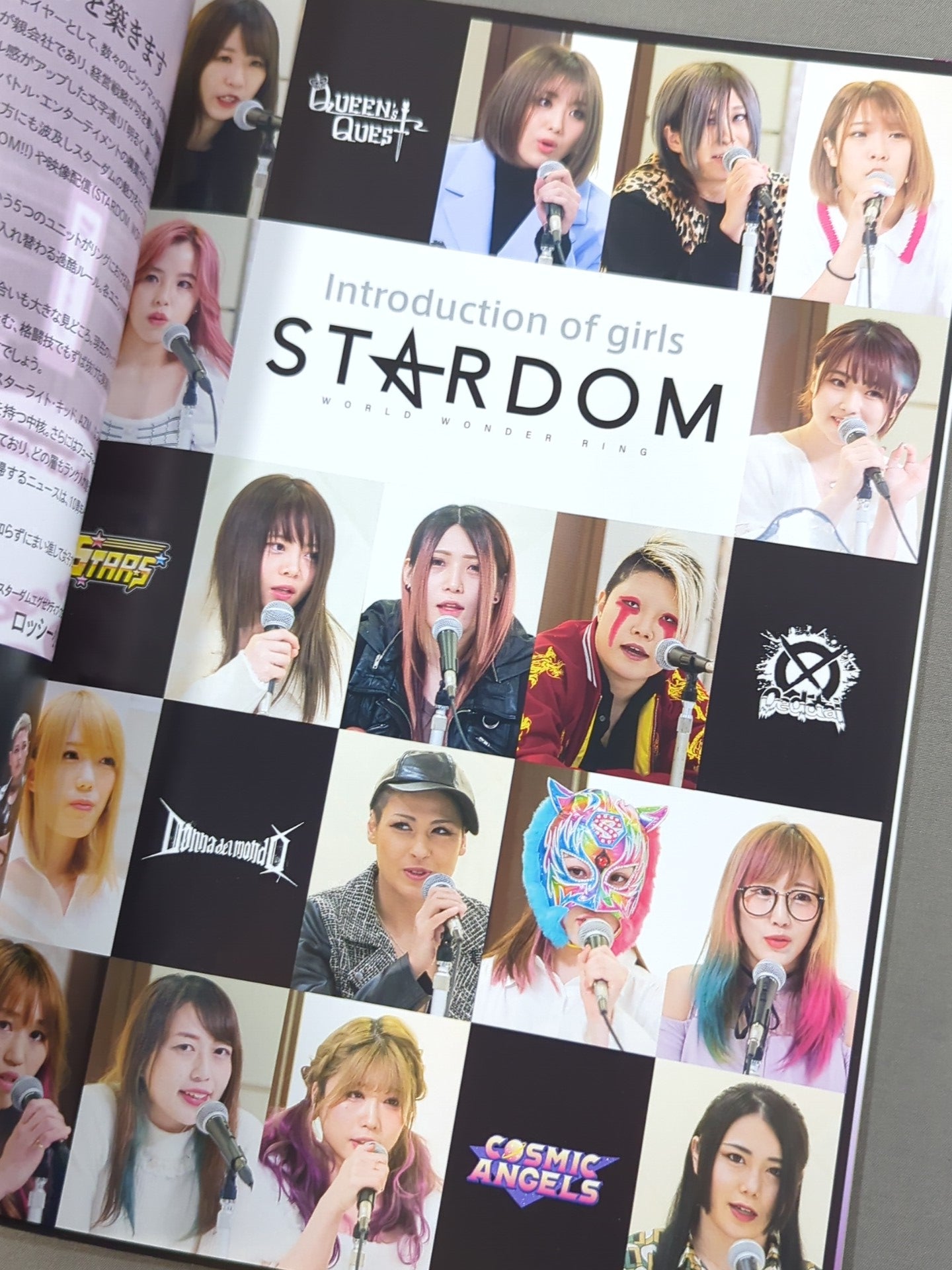STARDOM OFFICIAL GUIDE BOOK Vol.136 – 闘道館