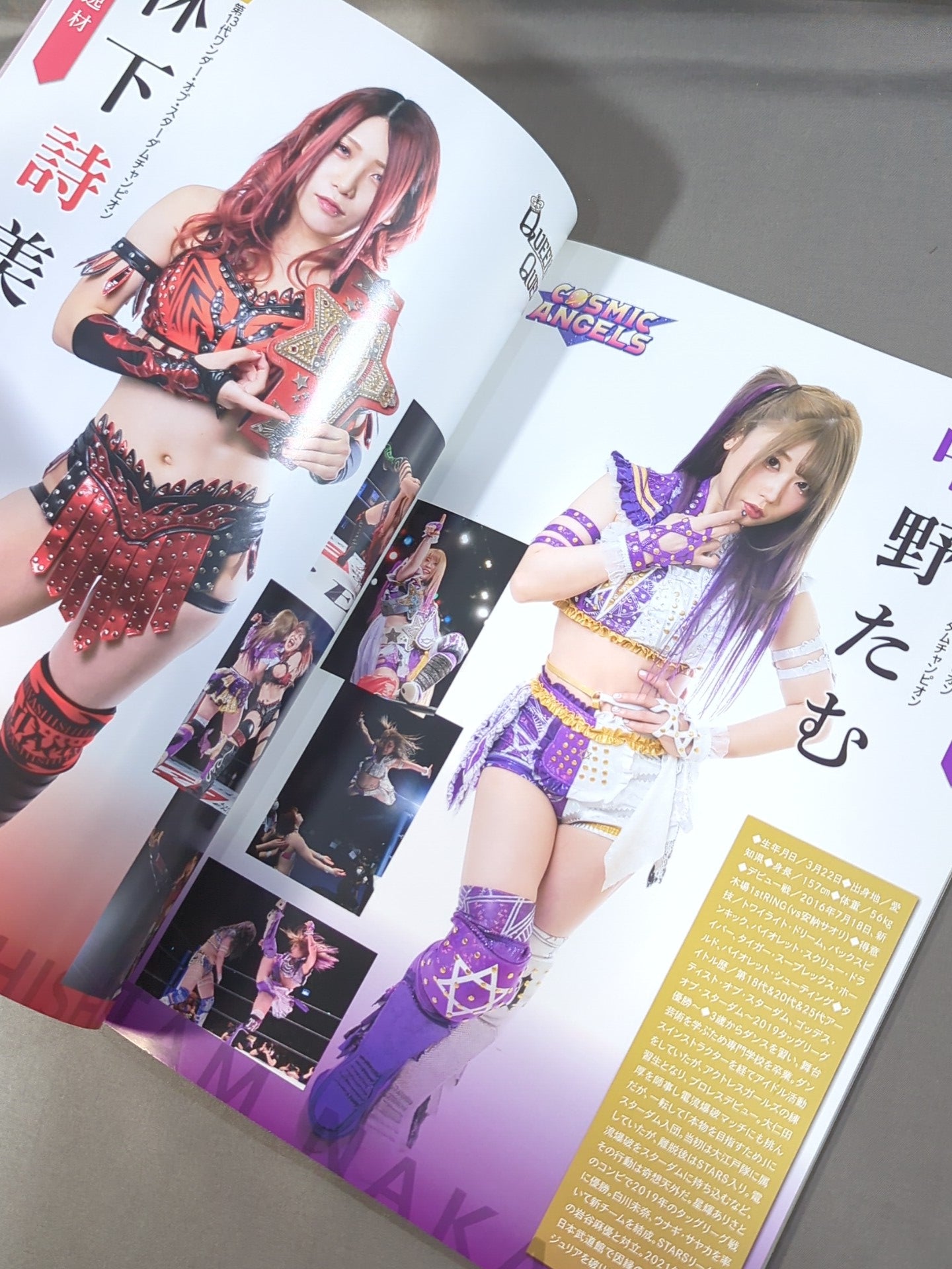 STARDOM OFFICIAL GUIDE BOOK Vol.136 – 闘道館
