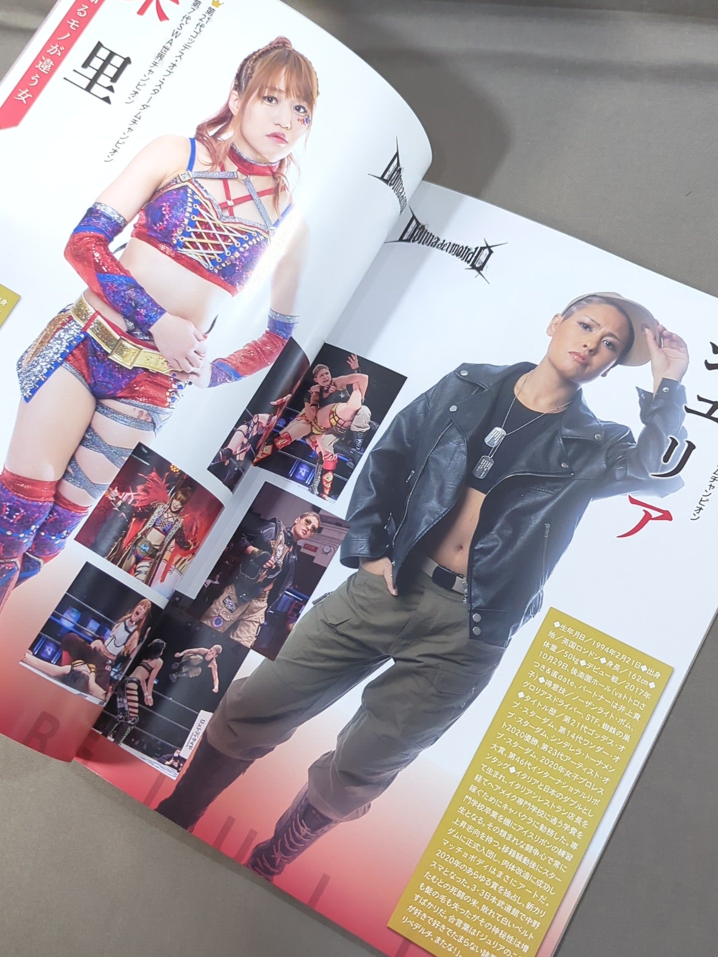 STARDOM OFFICIAL GUIDE BOOK Vol.136 – 闘道館