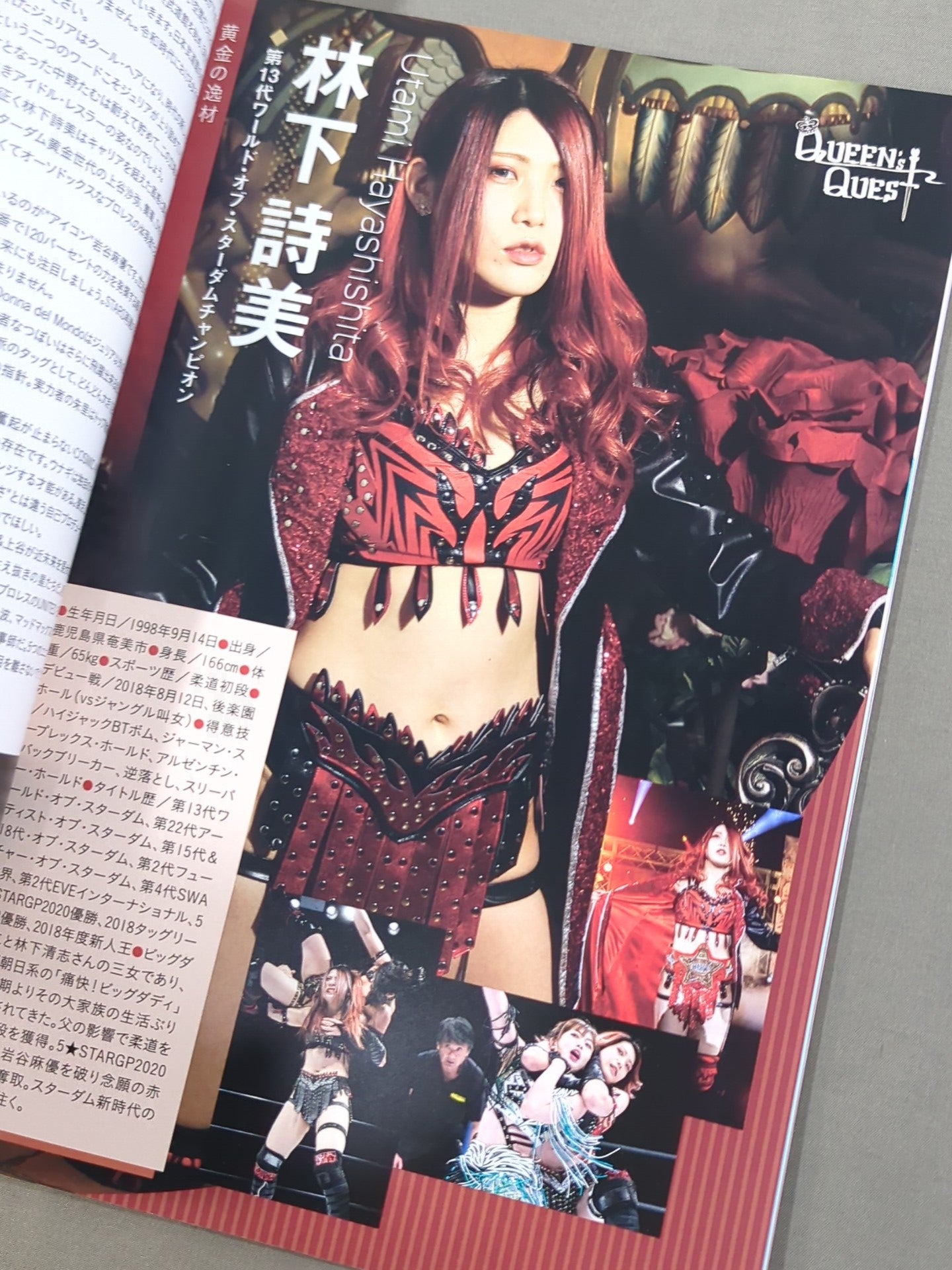 STARDOM OFFICIAL GUIDE BOOK Vol.135