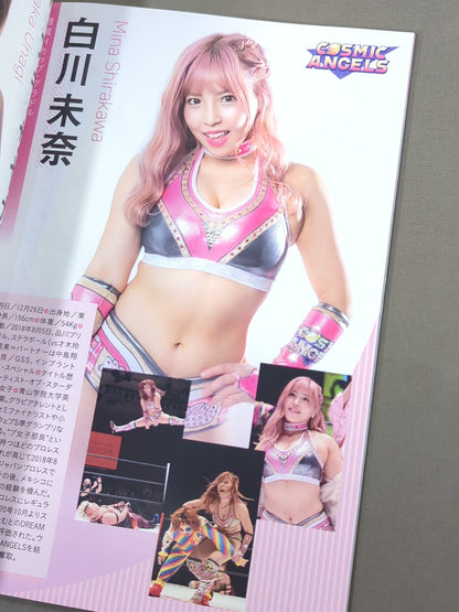 STARDOM OFFICIAL GUIDE BOOK Vol.135