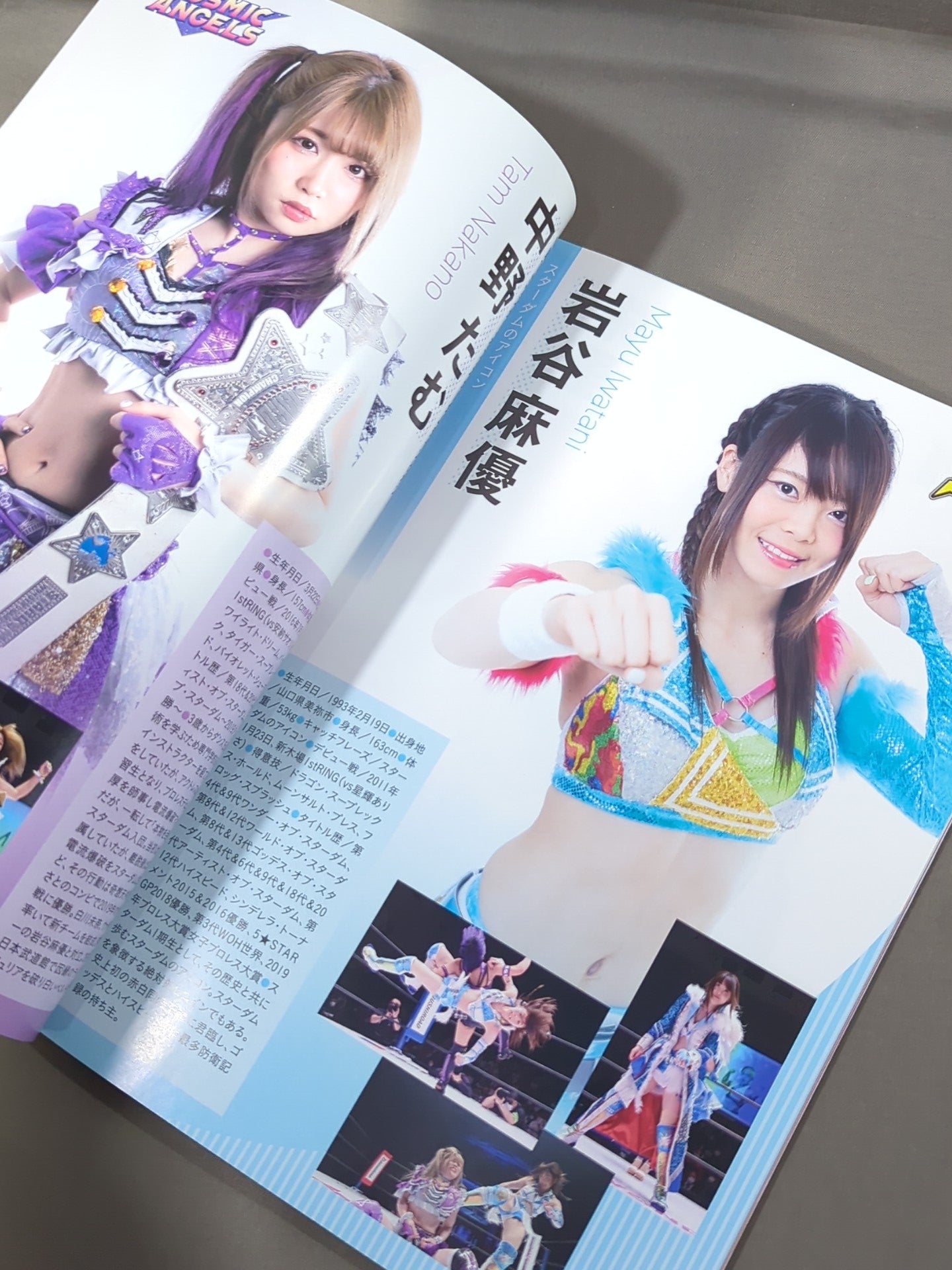 STARDOM OFFICIAL GUIDE BOOK Vol.135