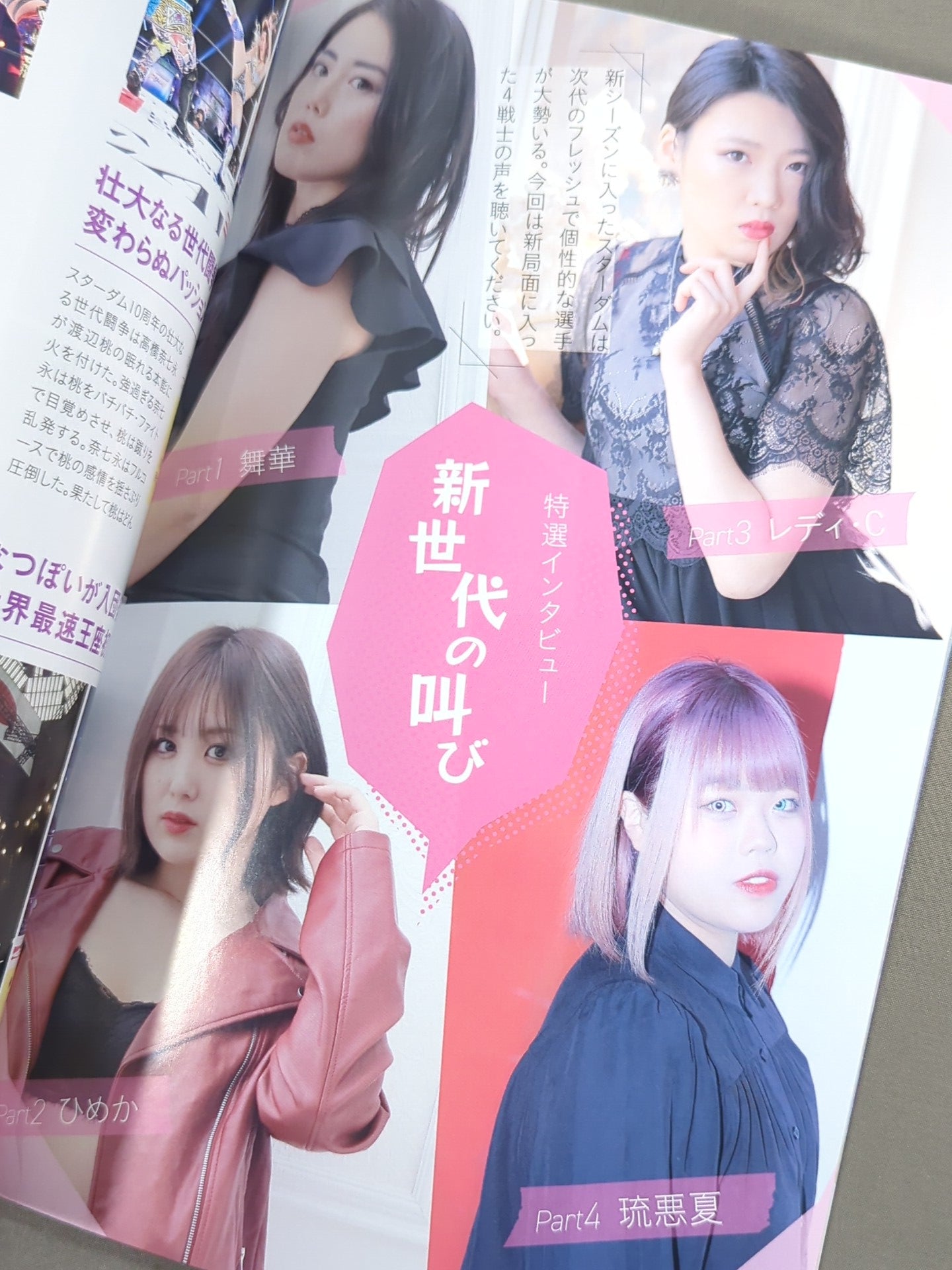 STARDOM OFFICIAL GUIDE BOOK Vol.135