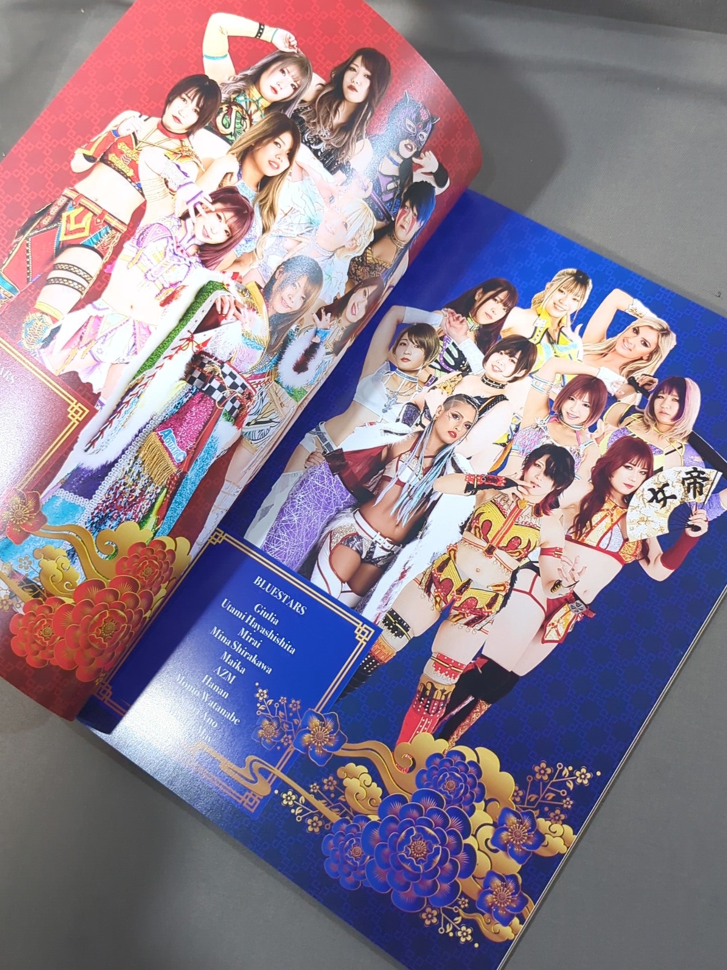 STARDOM OFFICIAL GUIDE BOOK Vol.148
