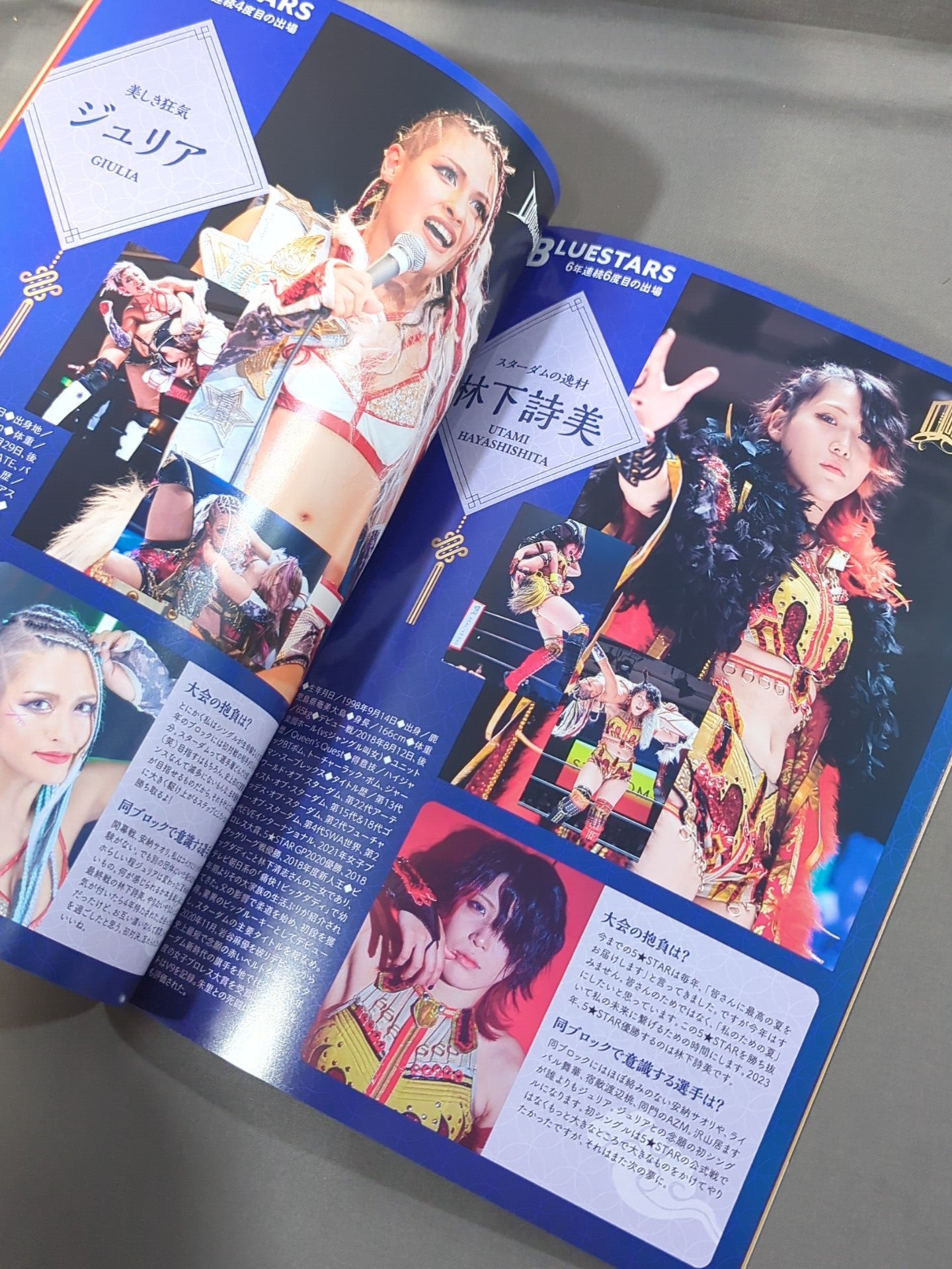 STARDOM OFFICIAL GUIDE BOOK Vol.148