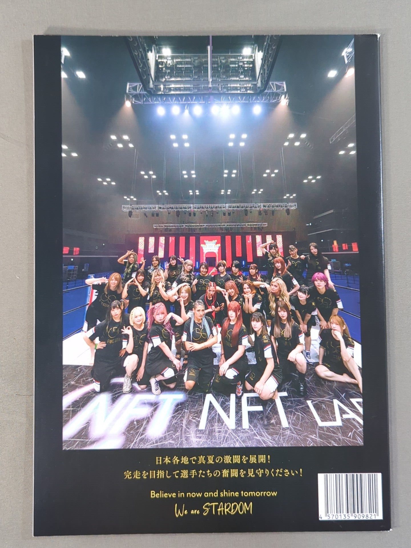 STARDOM OFFICIAL GUIDE BOOK Vol.148