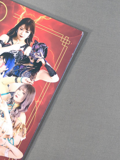 STARDOM OFFICIAL GUIDE BOOK Vol.148