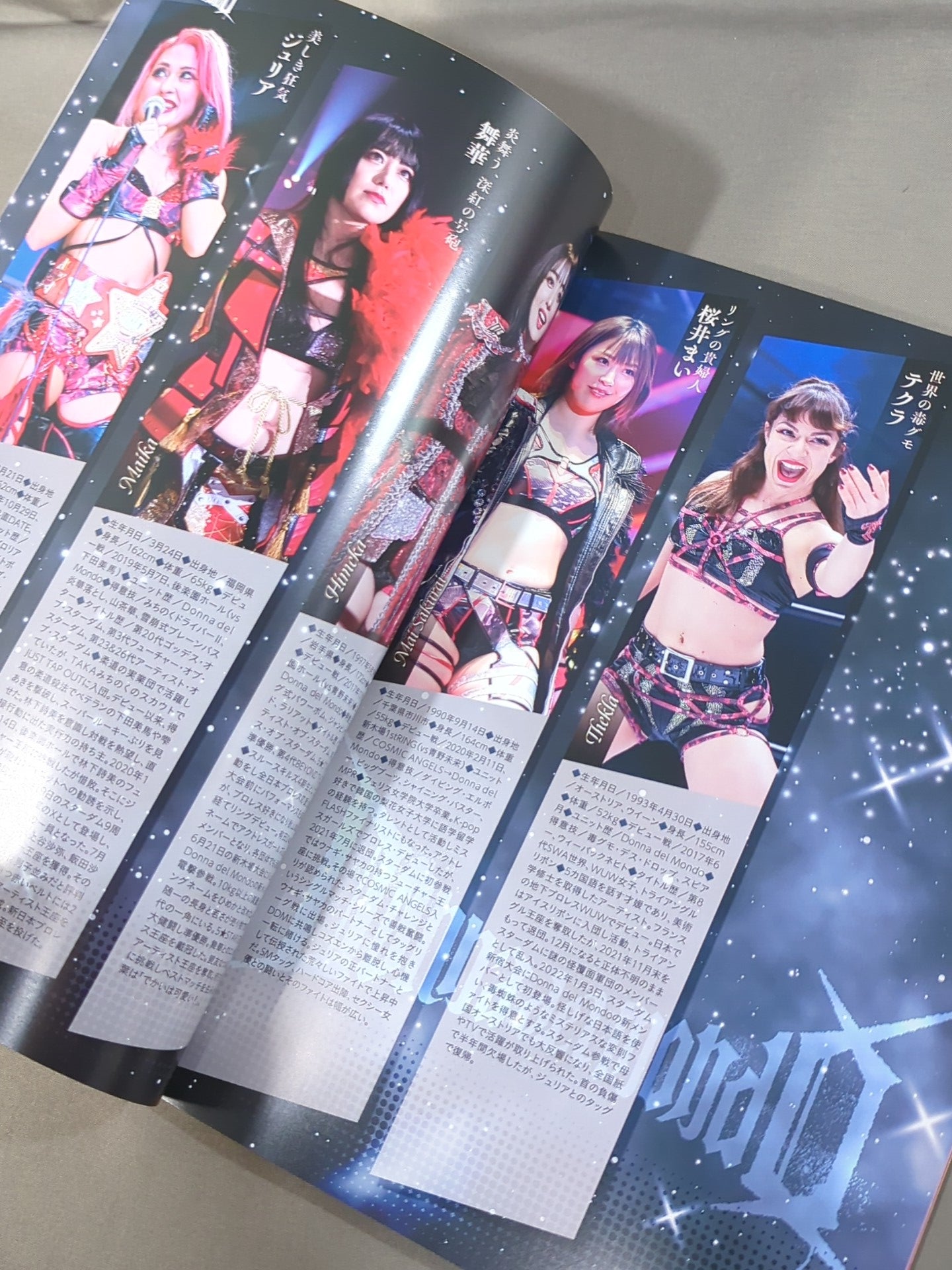 STARDOM OFFICIAL GUIDE BOOK Vol.146