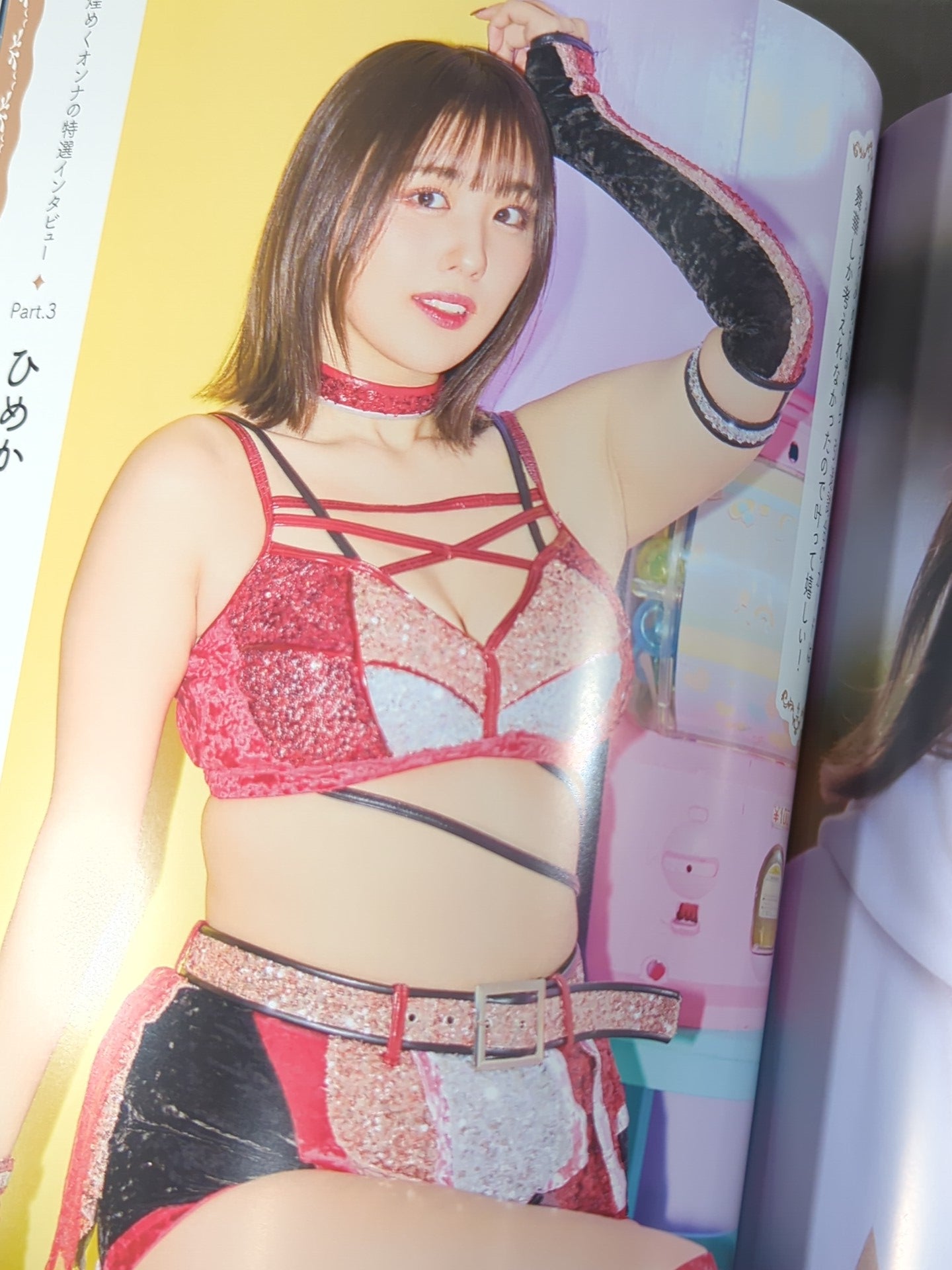 STARDOM OFFICIAL GUIDE BOOK Vol.146