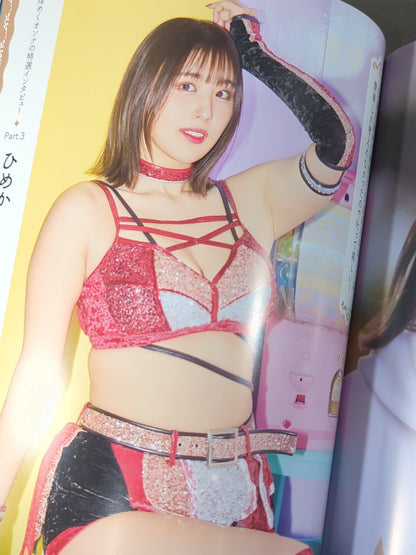 STARDOM OFFICIAL GUIDE BOOK Vol.146