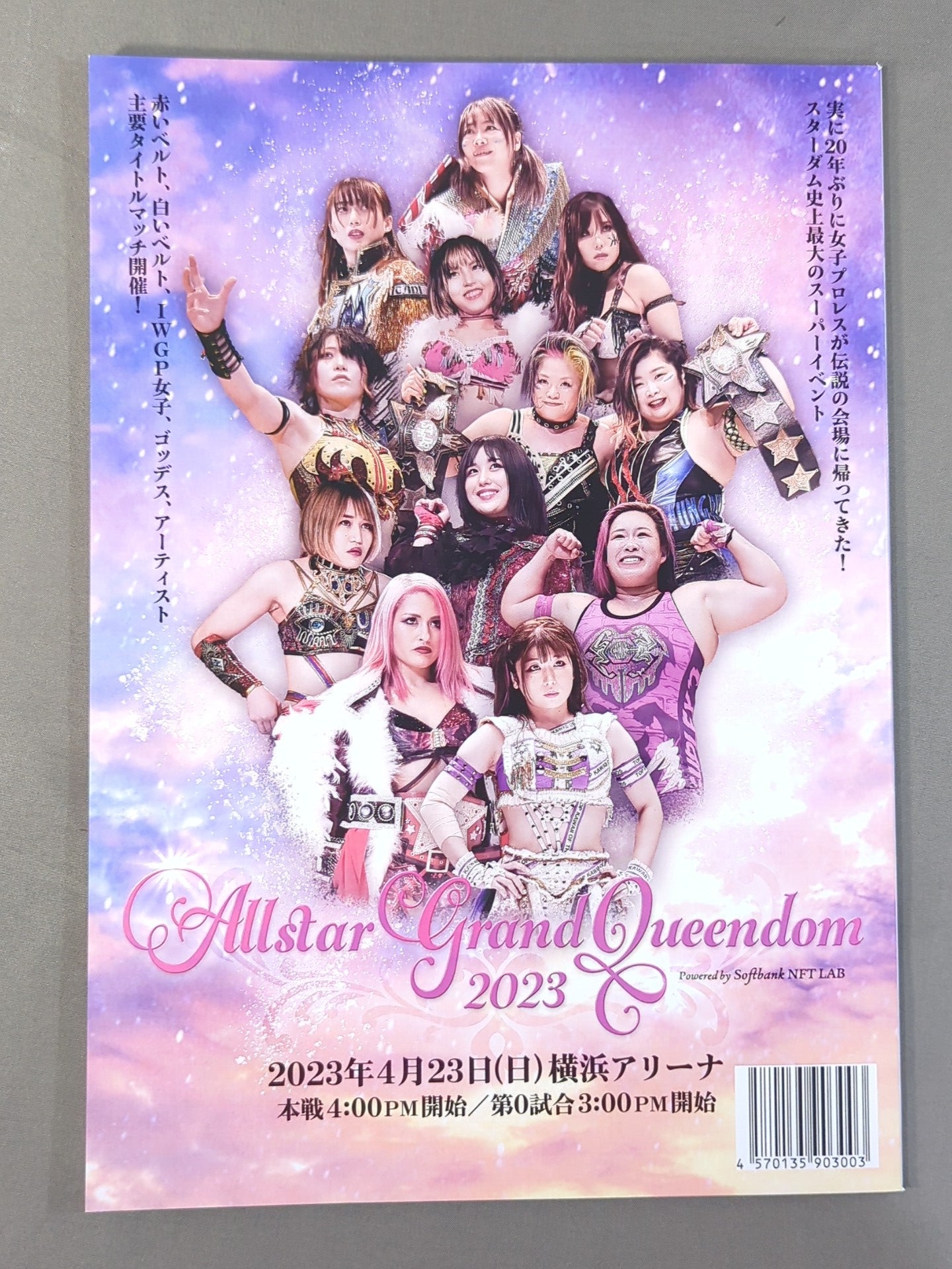STARDOM OFFICIAL GUIDE BOOK Vol.146