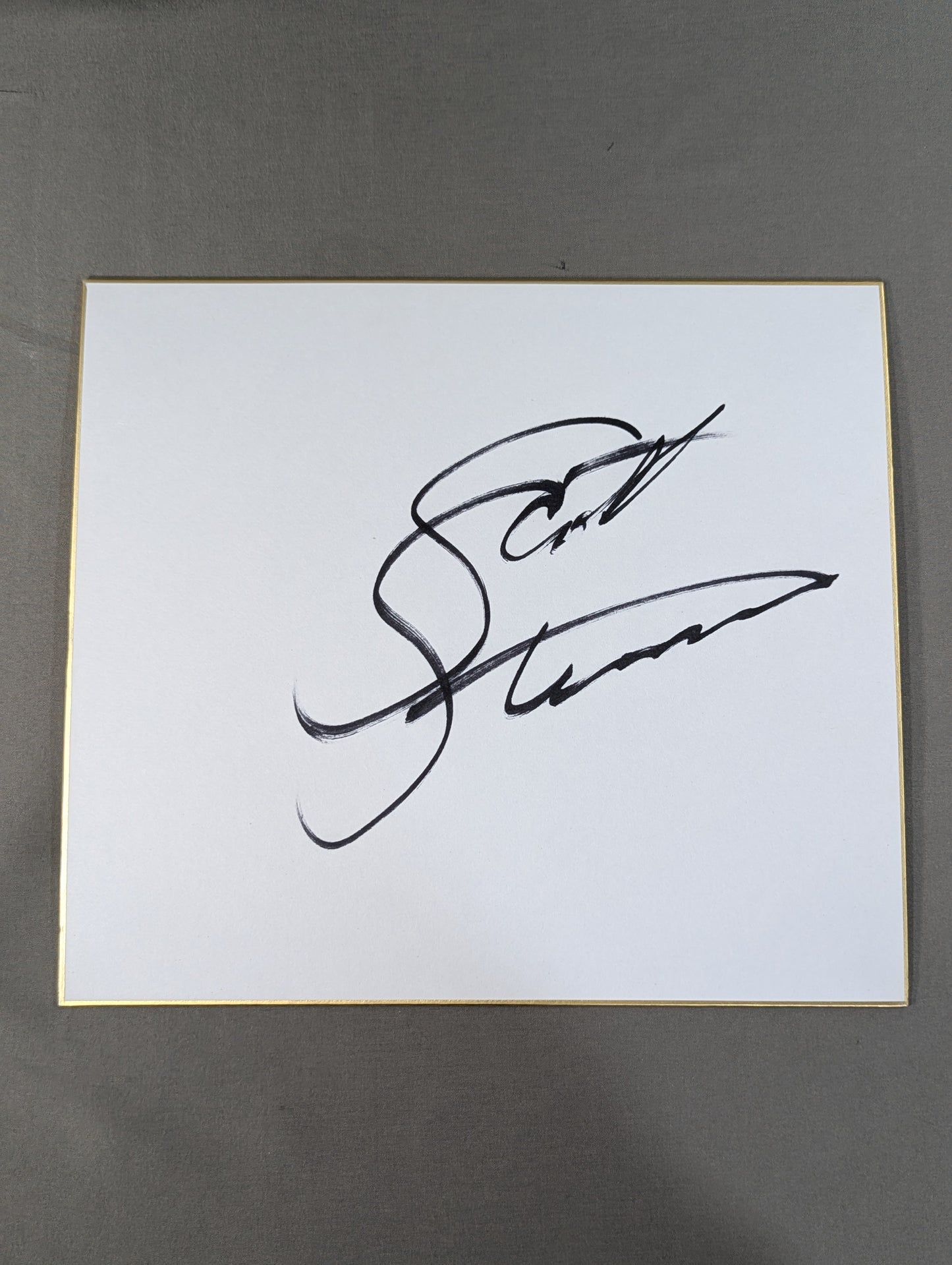 Scott Steiner