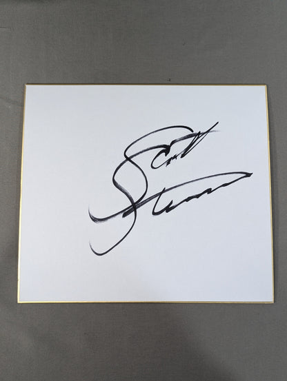 Scott Steiner