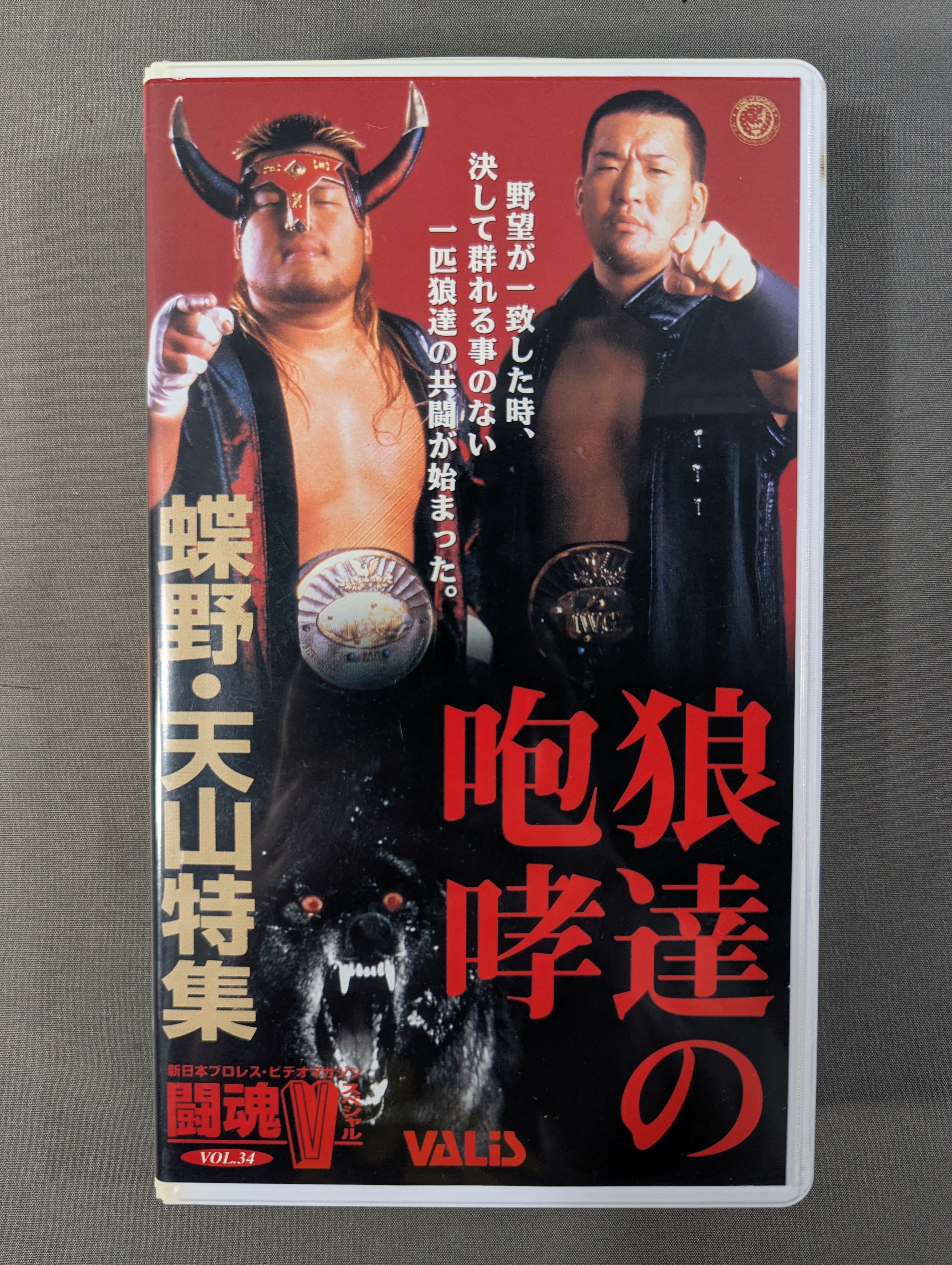 闘魂Vスペシャル Vol.34 ☆狼達の咆哮 蝶野・天山特集☆ – 闘道館