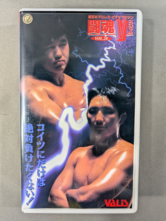 Fighting Spirit V Special Vol.28