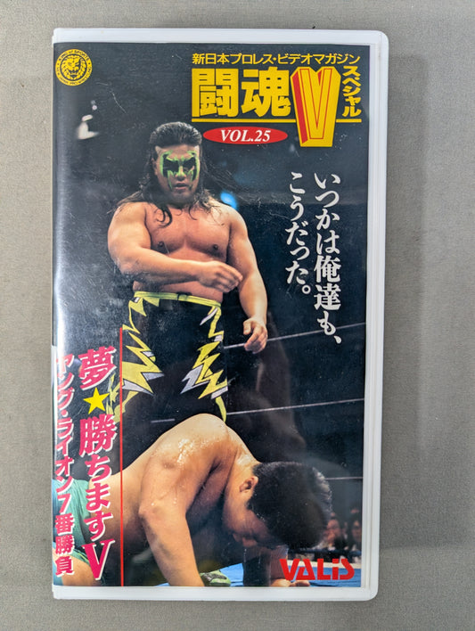 Fighting Spirit V Special Vol.25