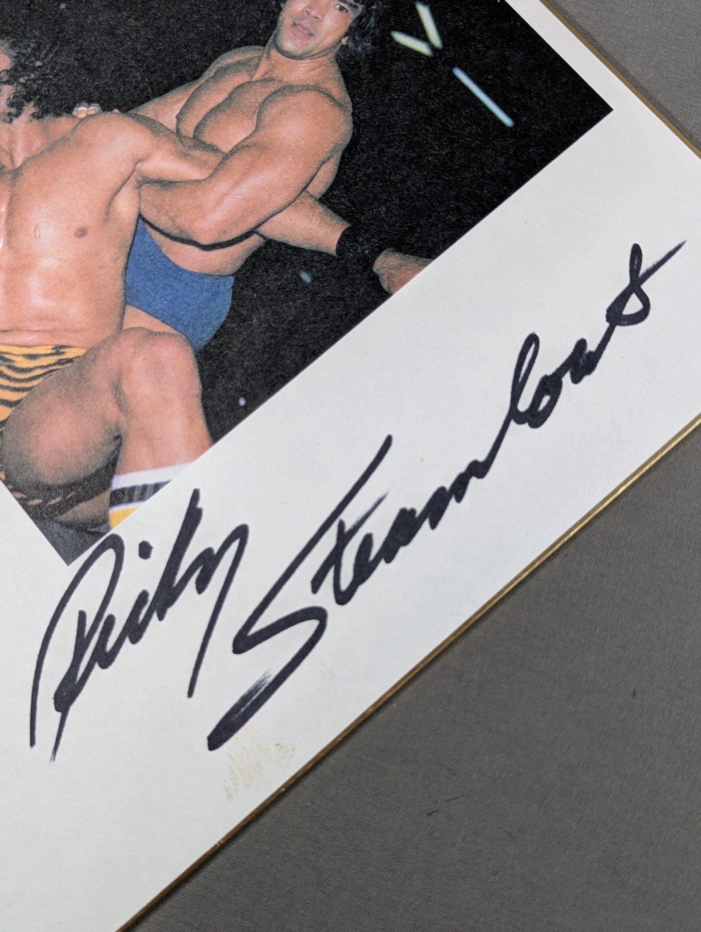 リッキー・スティムボート(専用色紙)