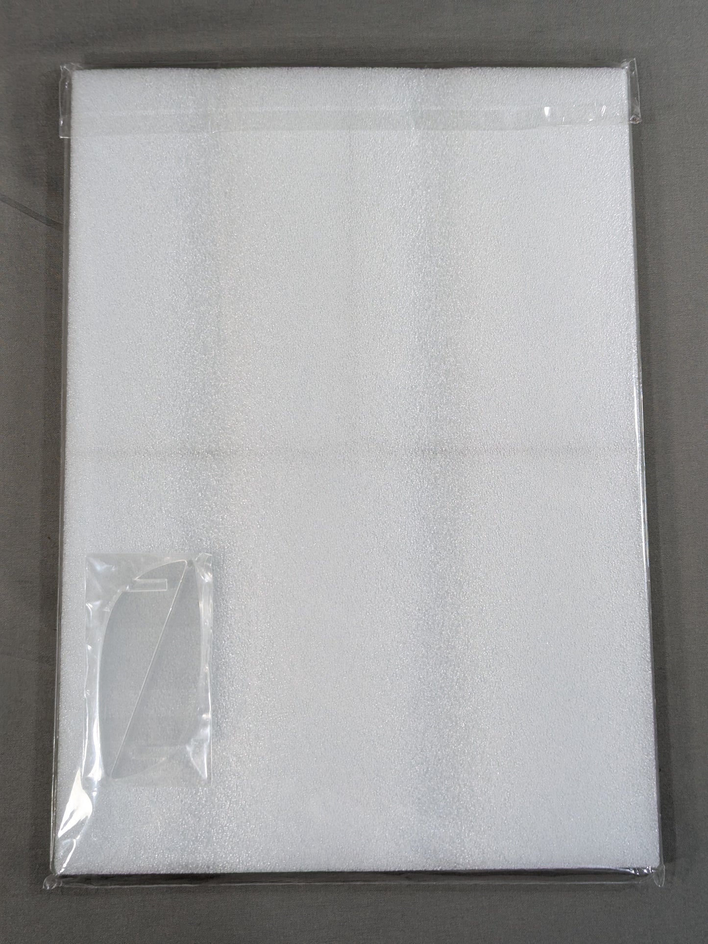 【直筆サイン入り】中野たむ A4アクリルパネル