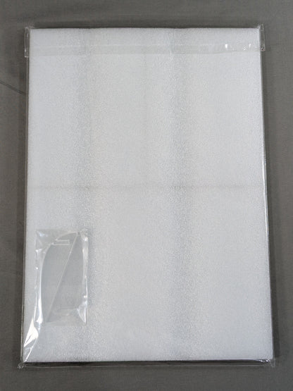 【直筆サイン入り】中野たむ A4アクリルパネル