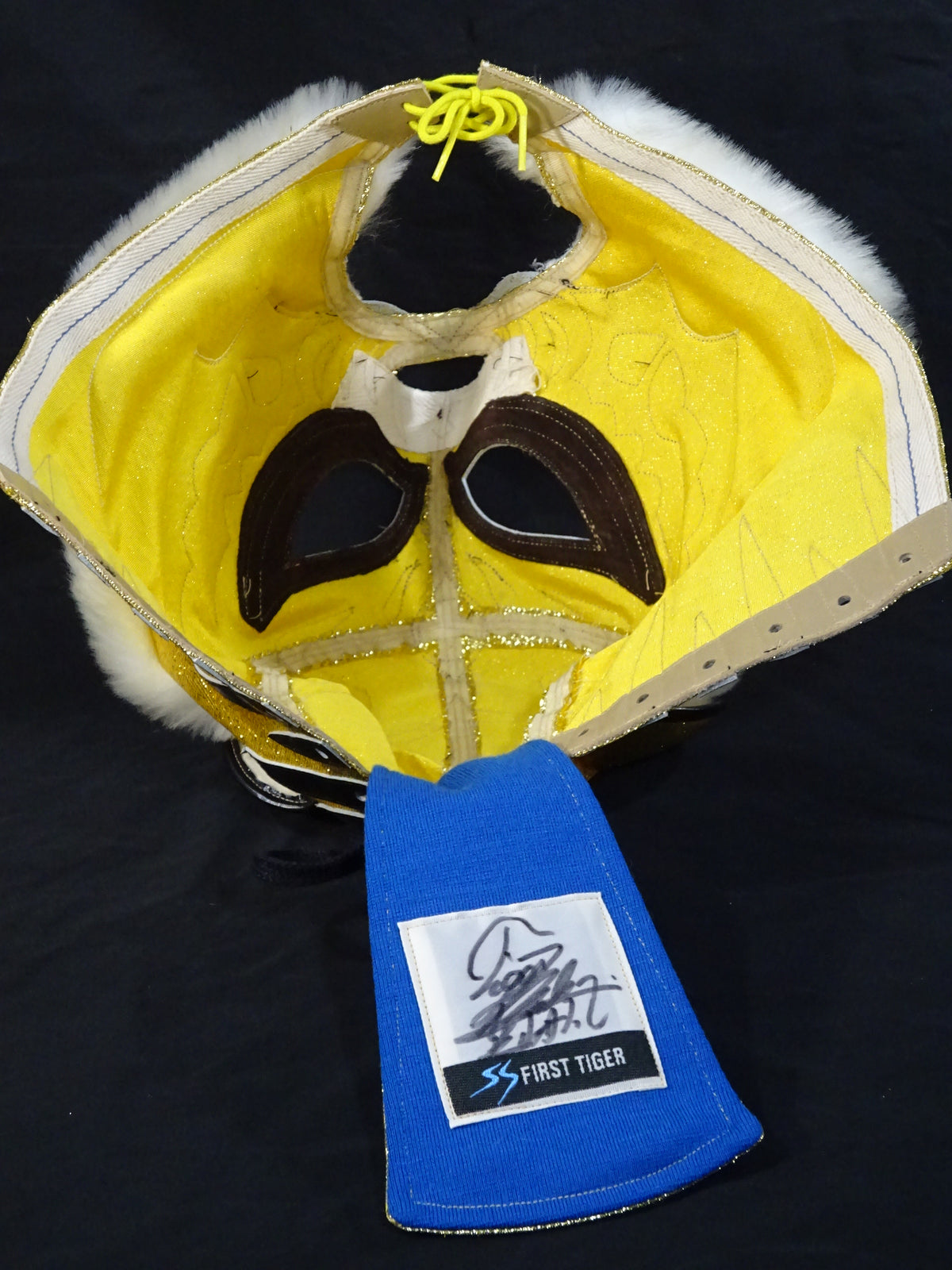 The first Tiger Mask