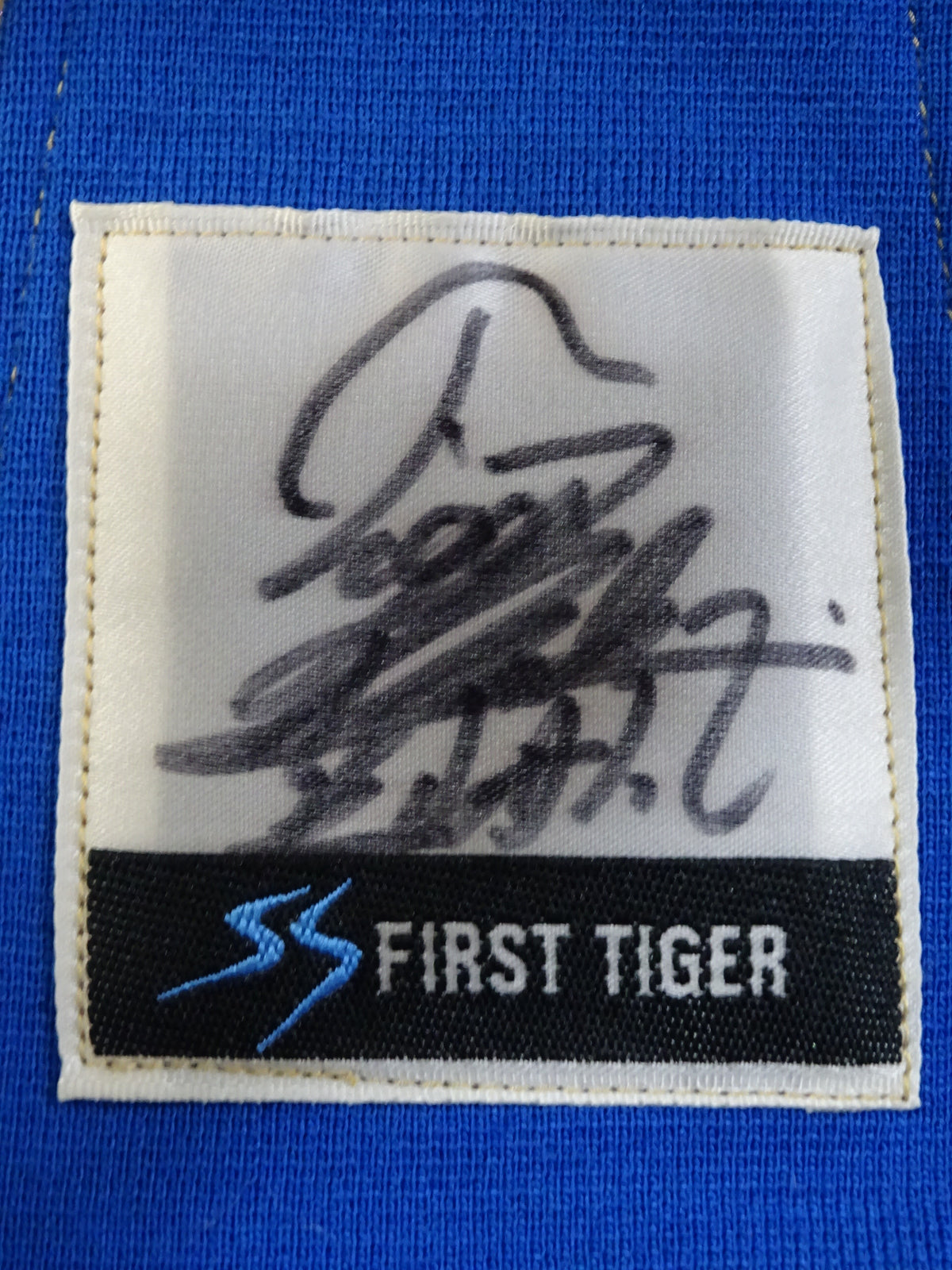 The first Tiger Mask