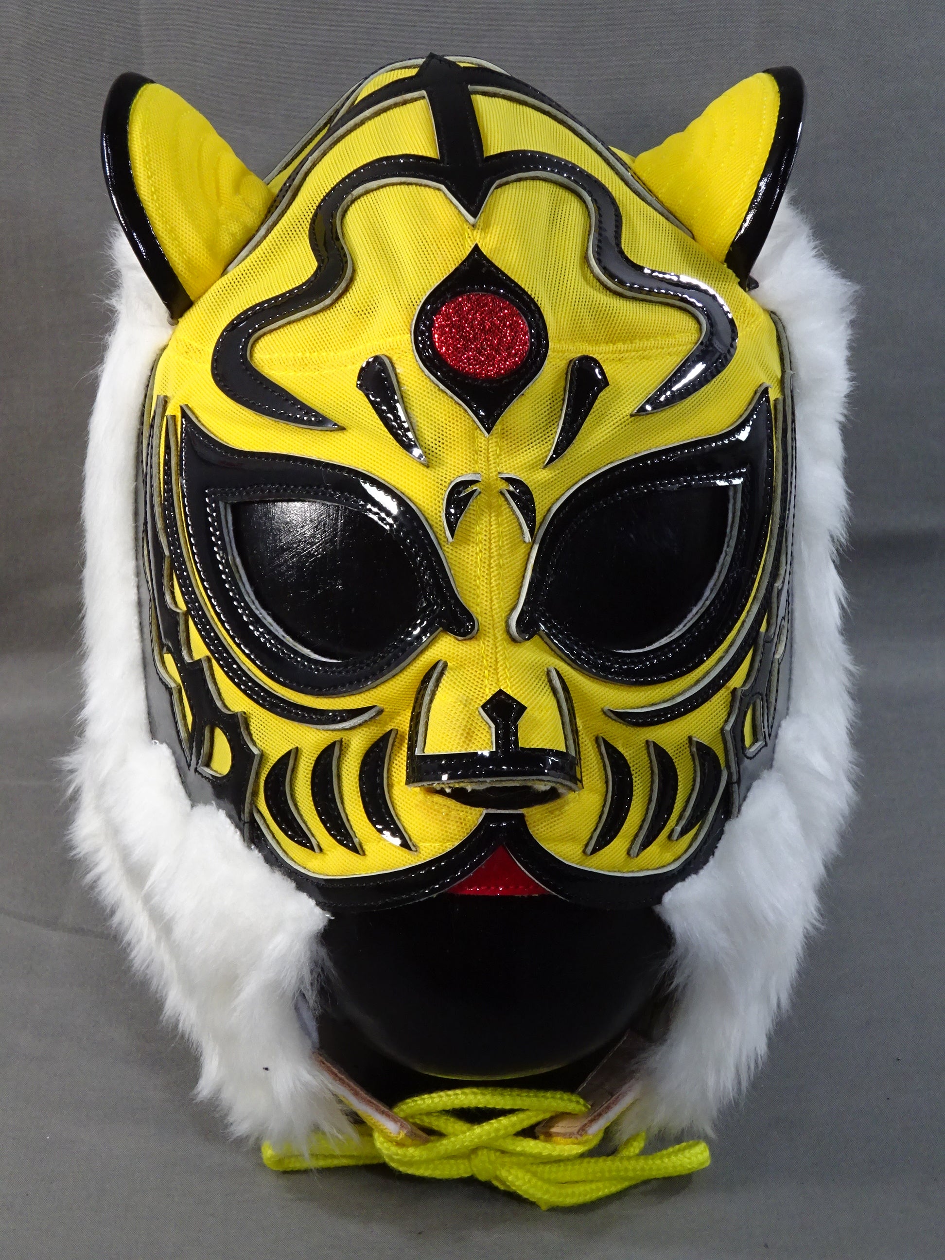 The first Tiger Mask – 闘道館