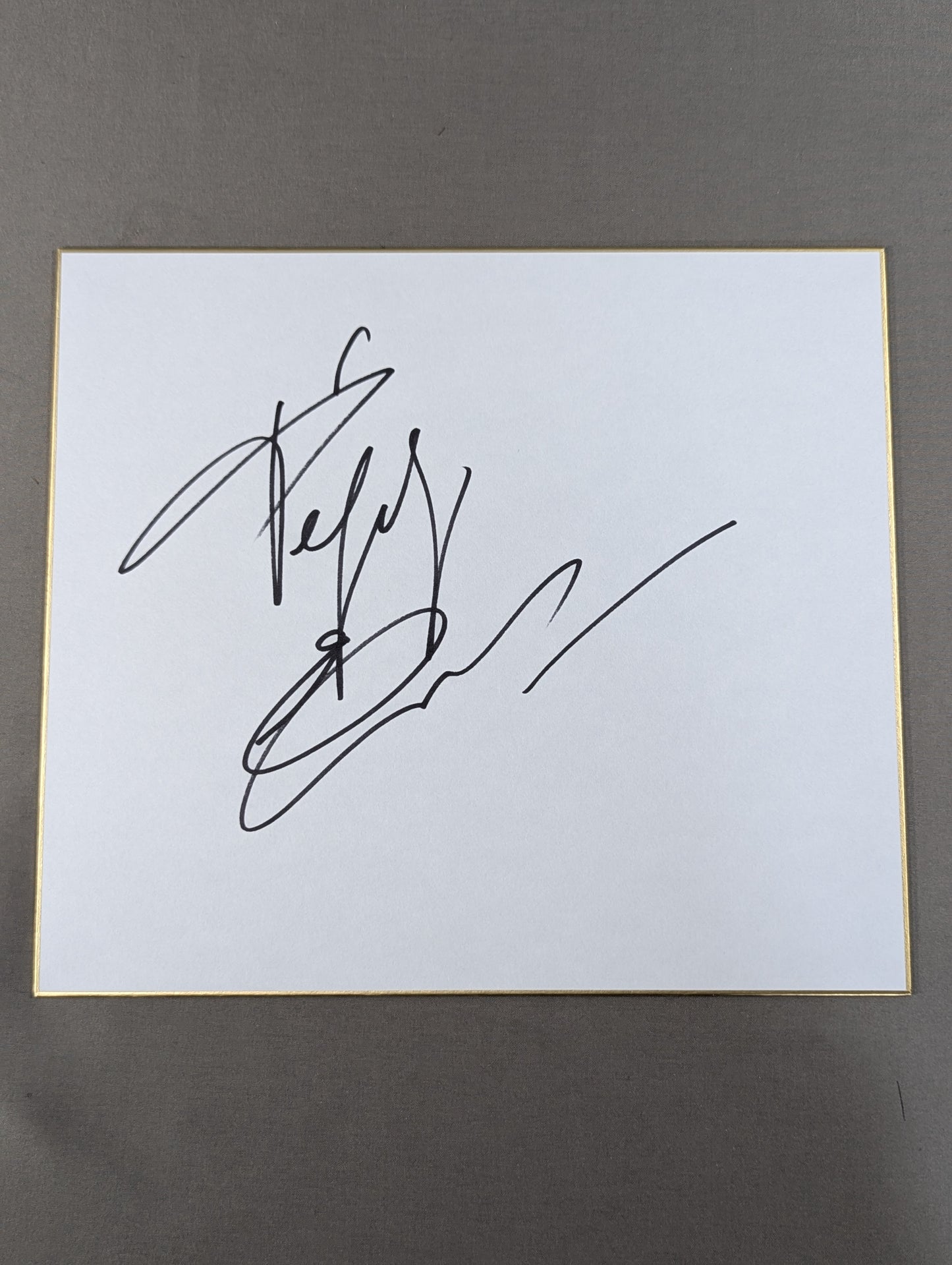 エメリヤーエンコ・ヒョードル